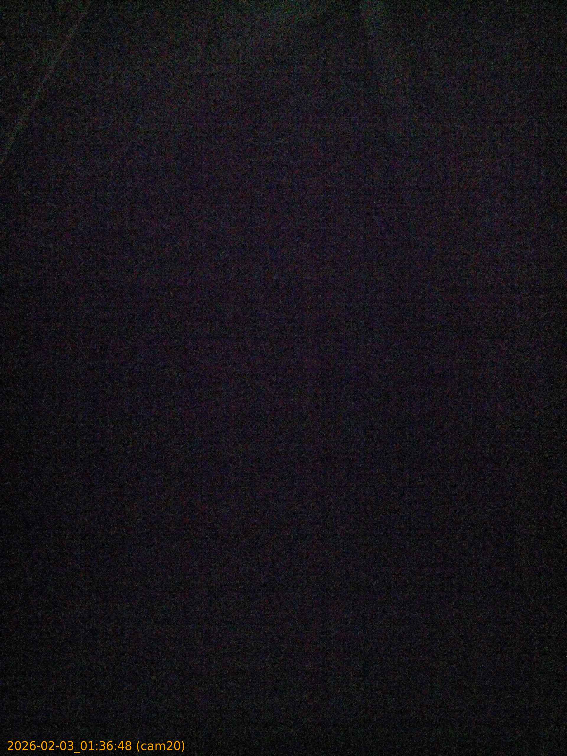 thumbnail_20260203013648