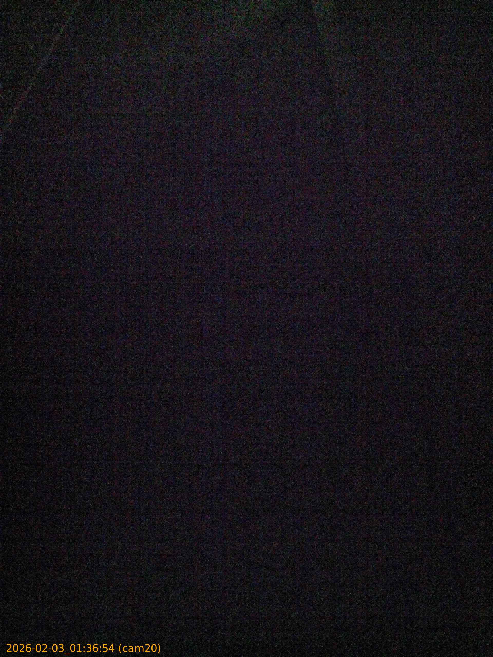 thumbnail_20260203013654