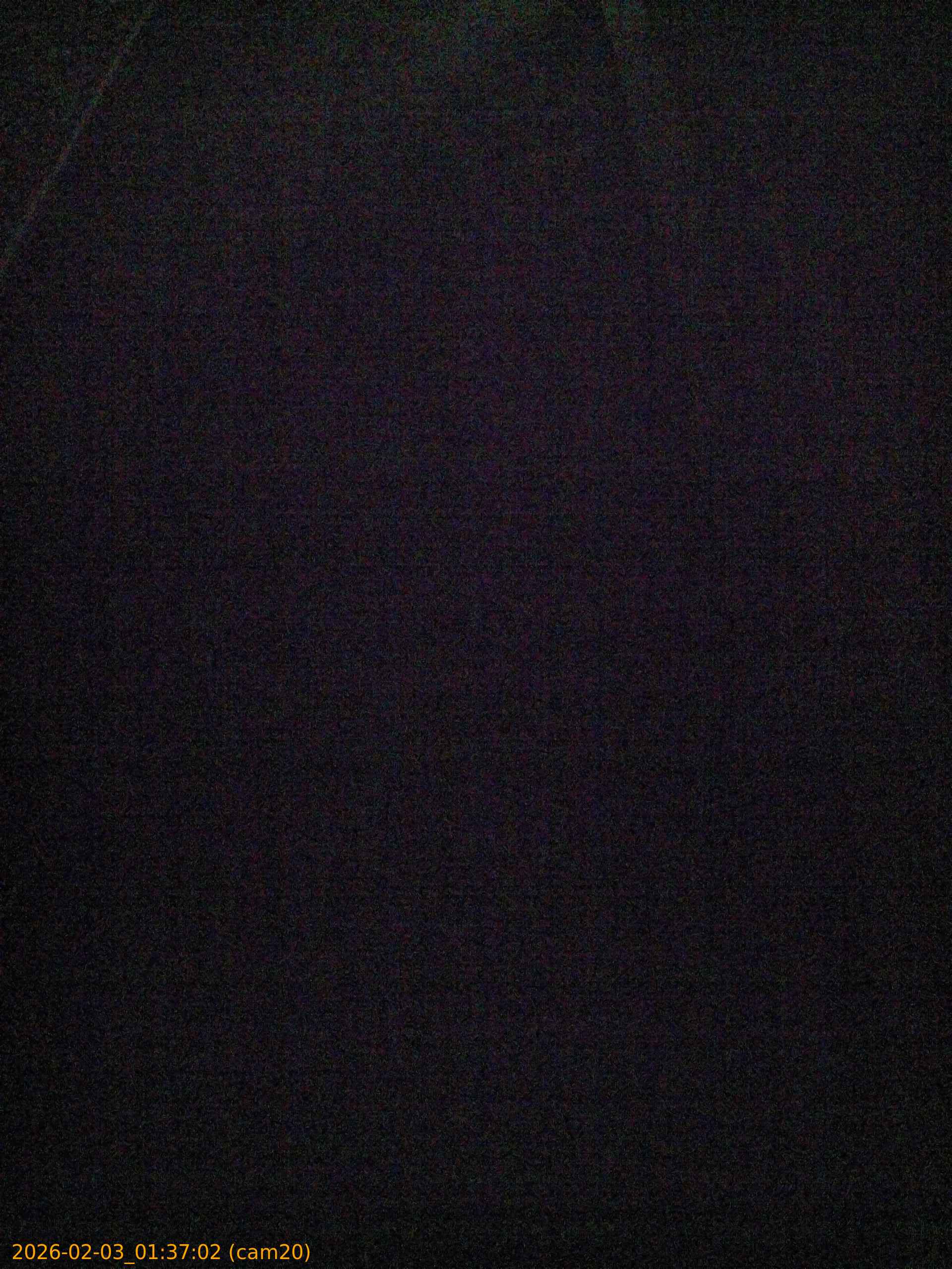 thumbnail_20260203013702