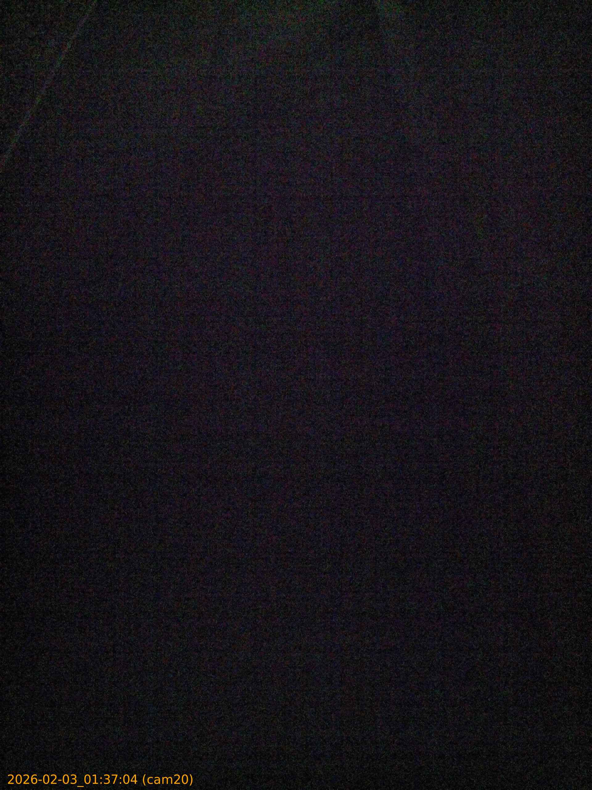 thumbnail_20260203013704