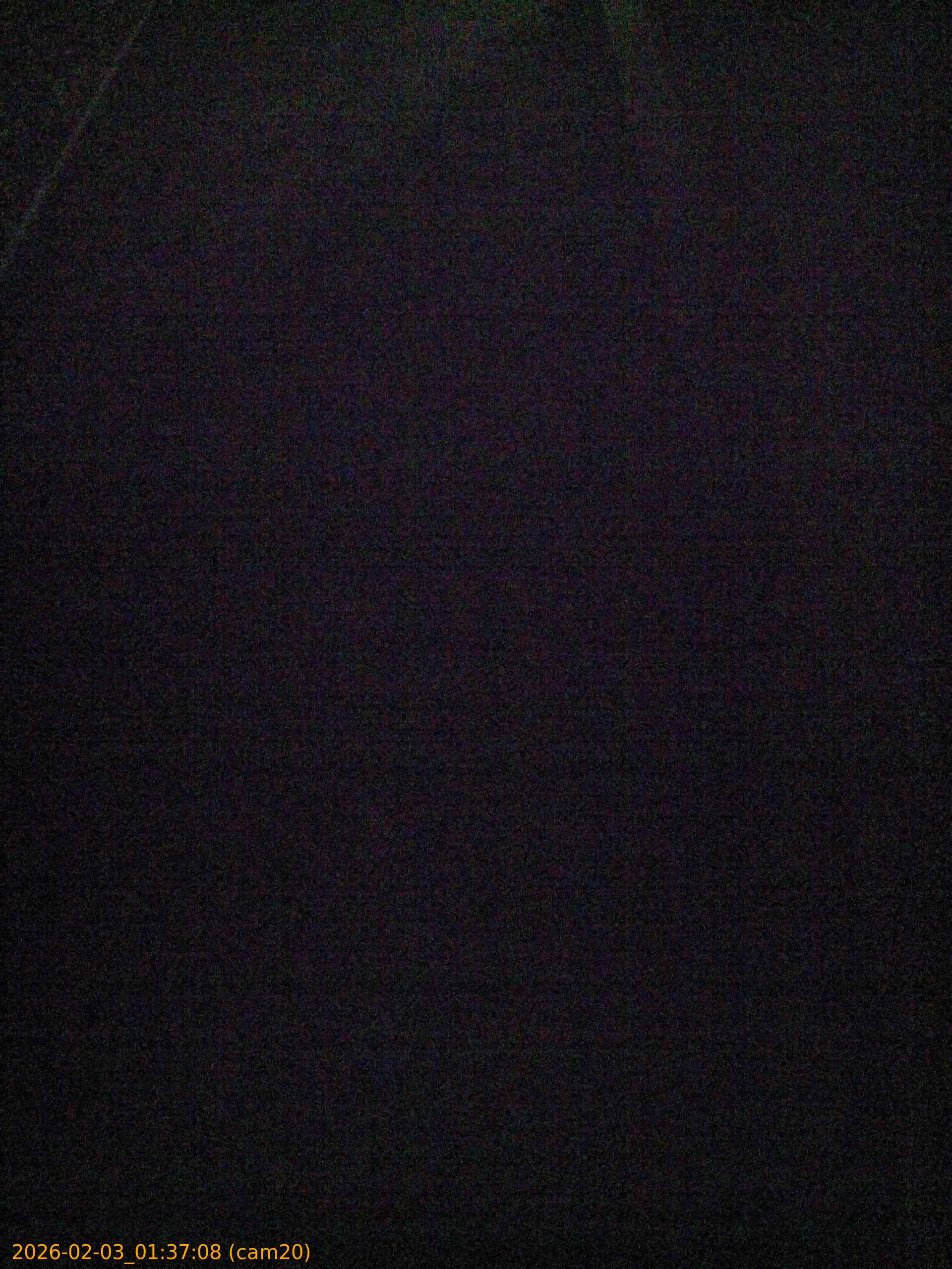 thumbnail_20260203013708