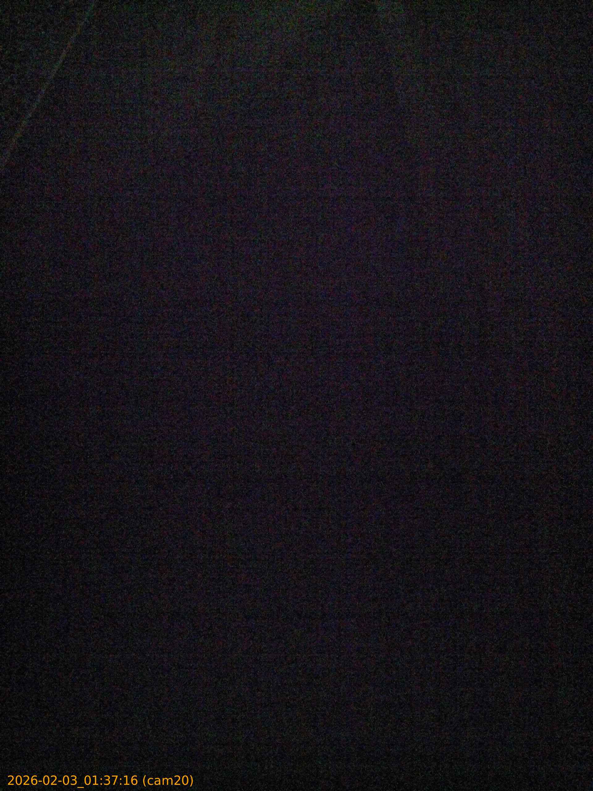 thumbnail_20260203013716