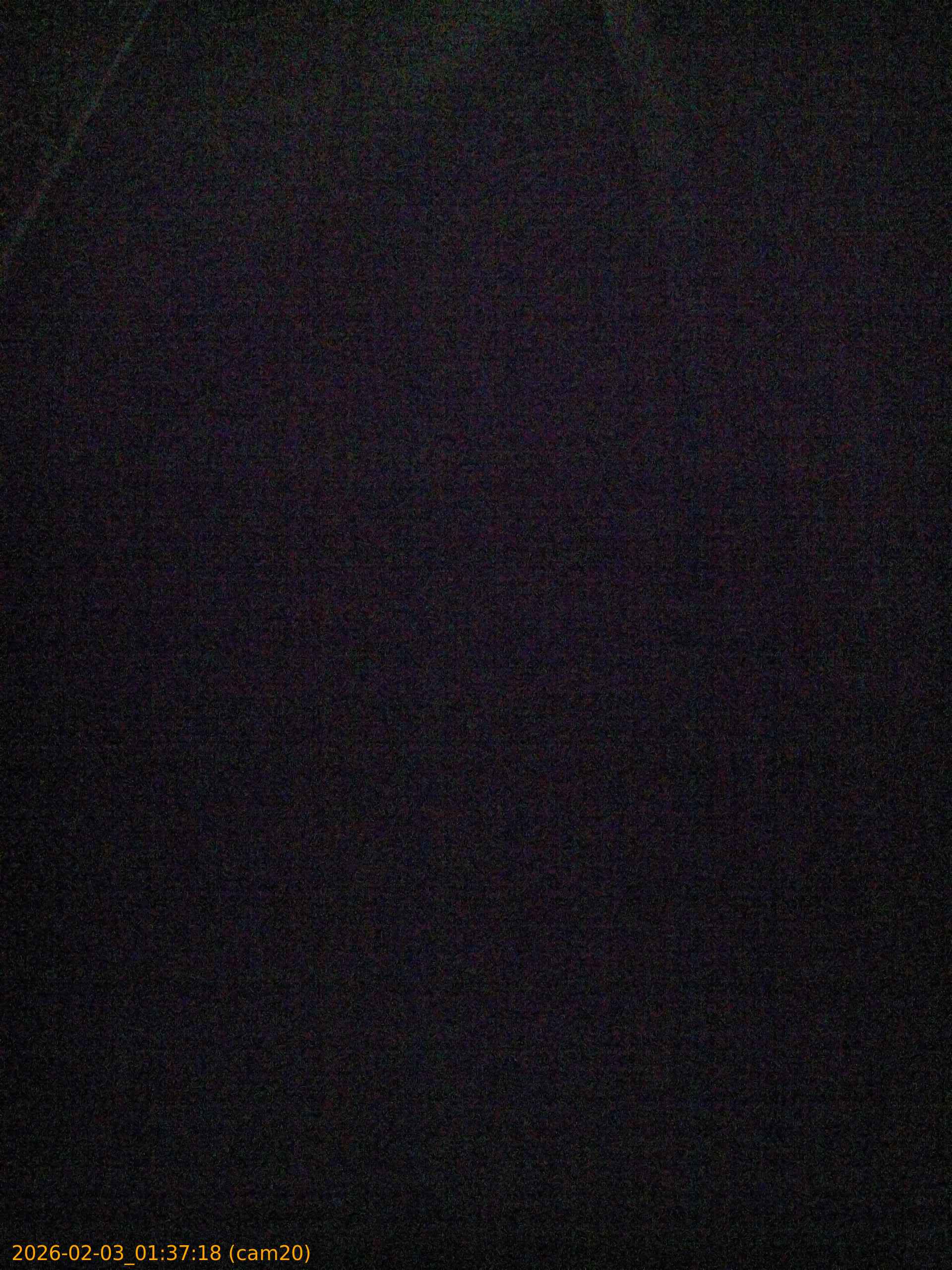 thumbnail_20260203013718