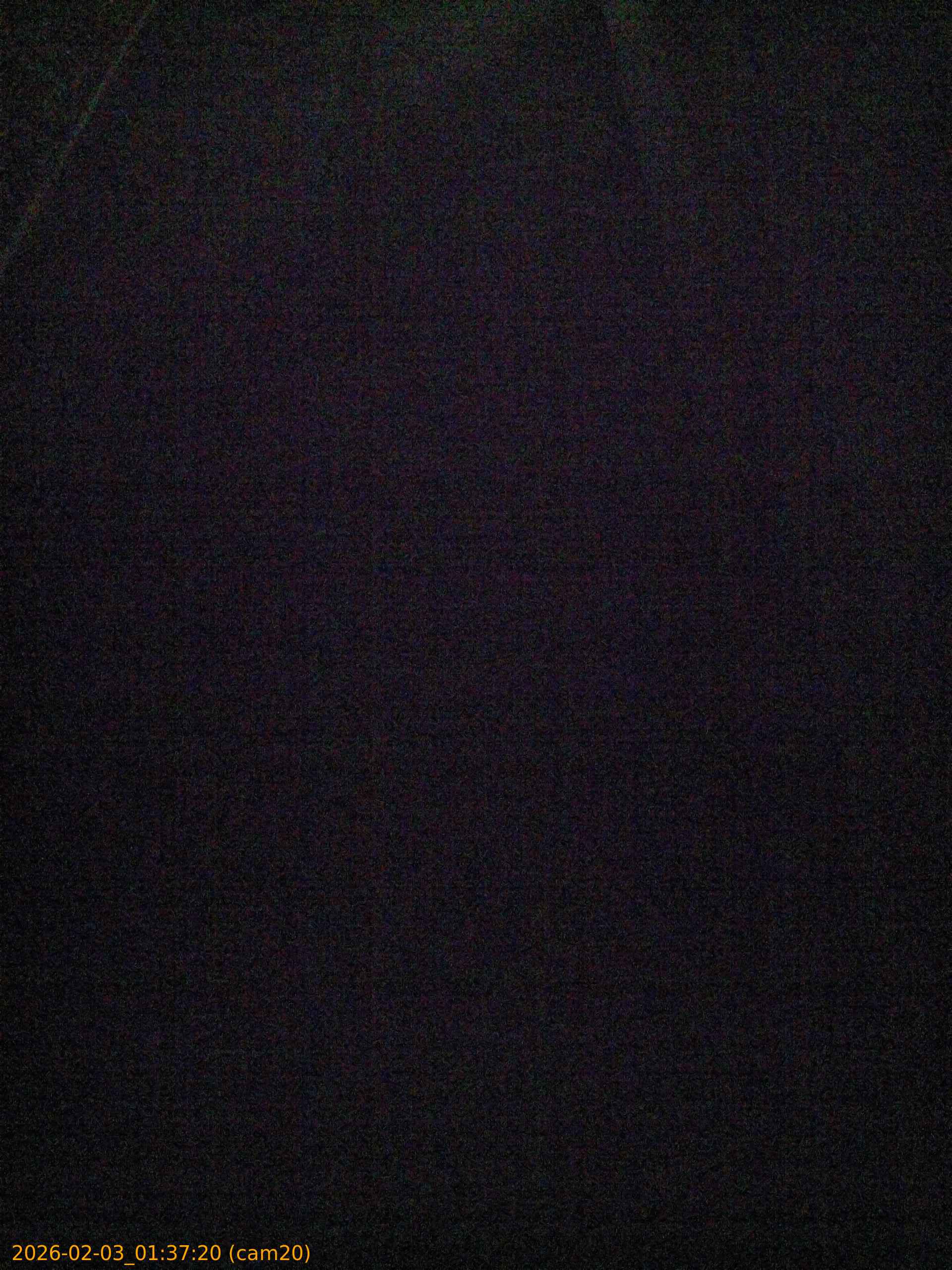 thumbnail_20260203013720