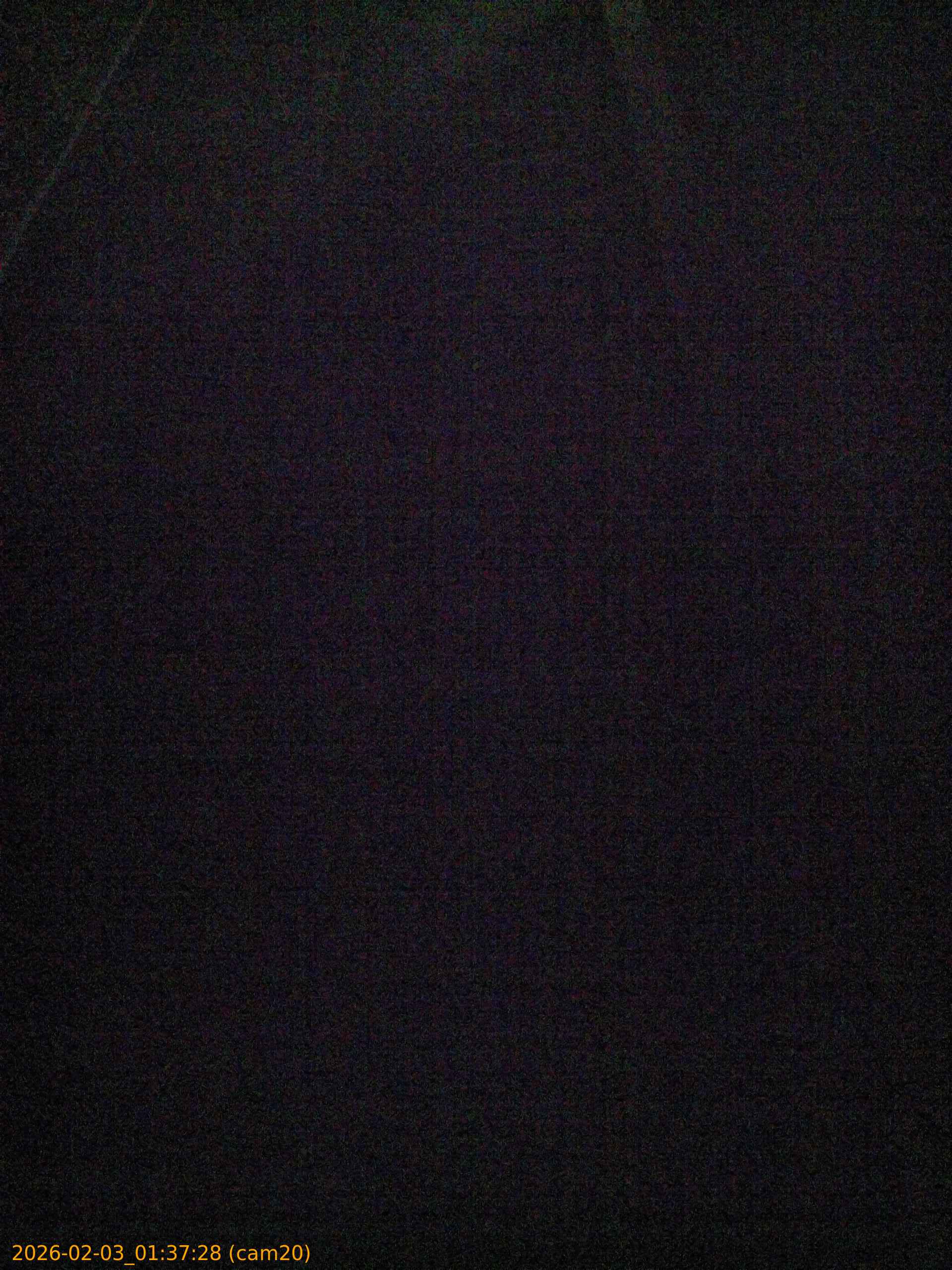 thumbnail_20260203013728