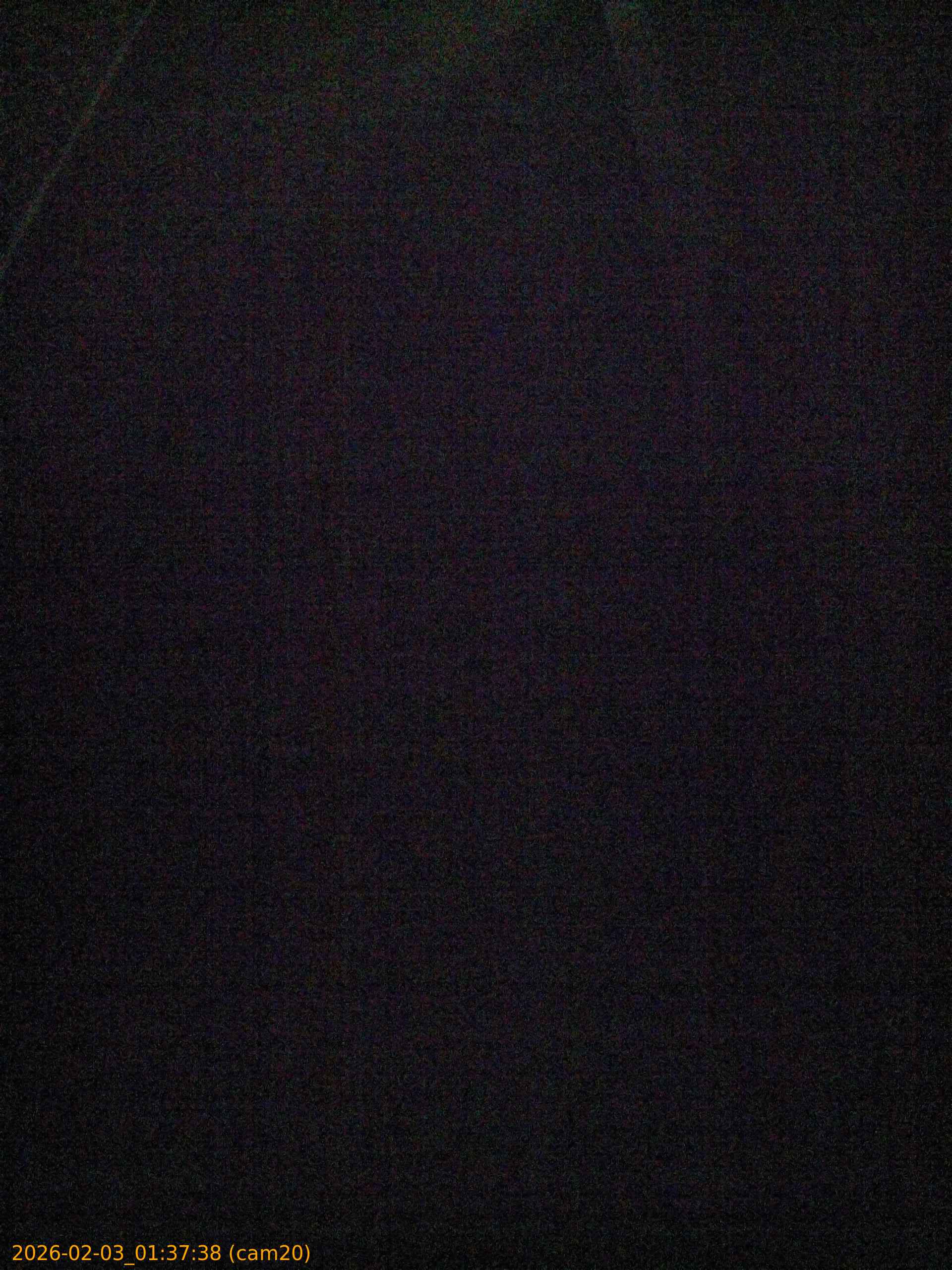 thumbnail_20260203013738