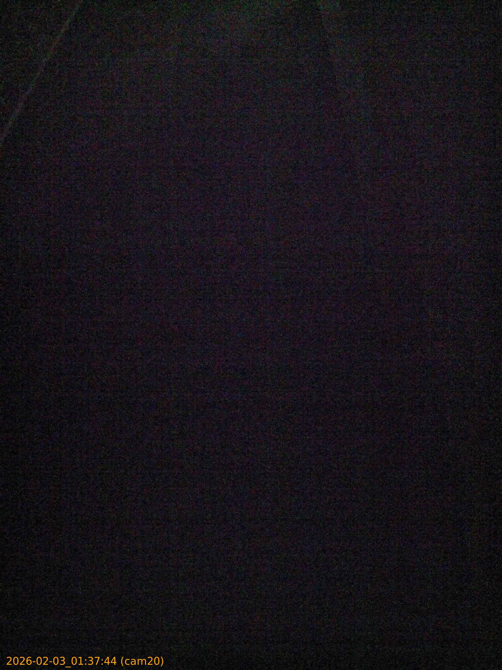 thumbnail_20260203013744