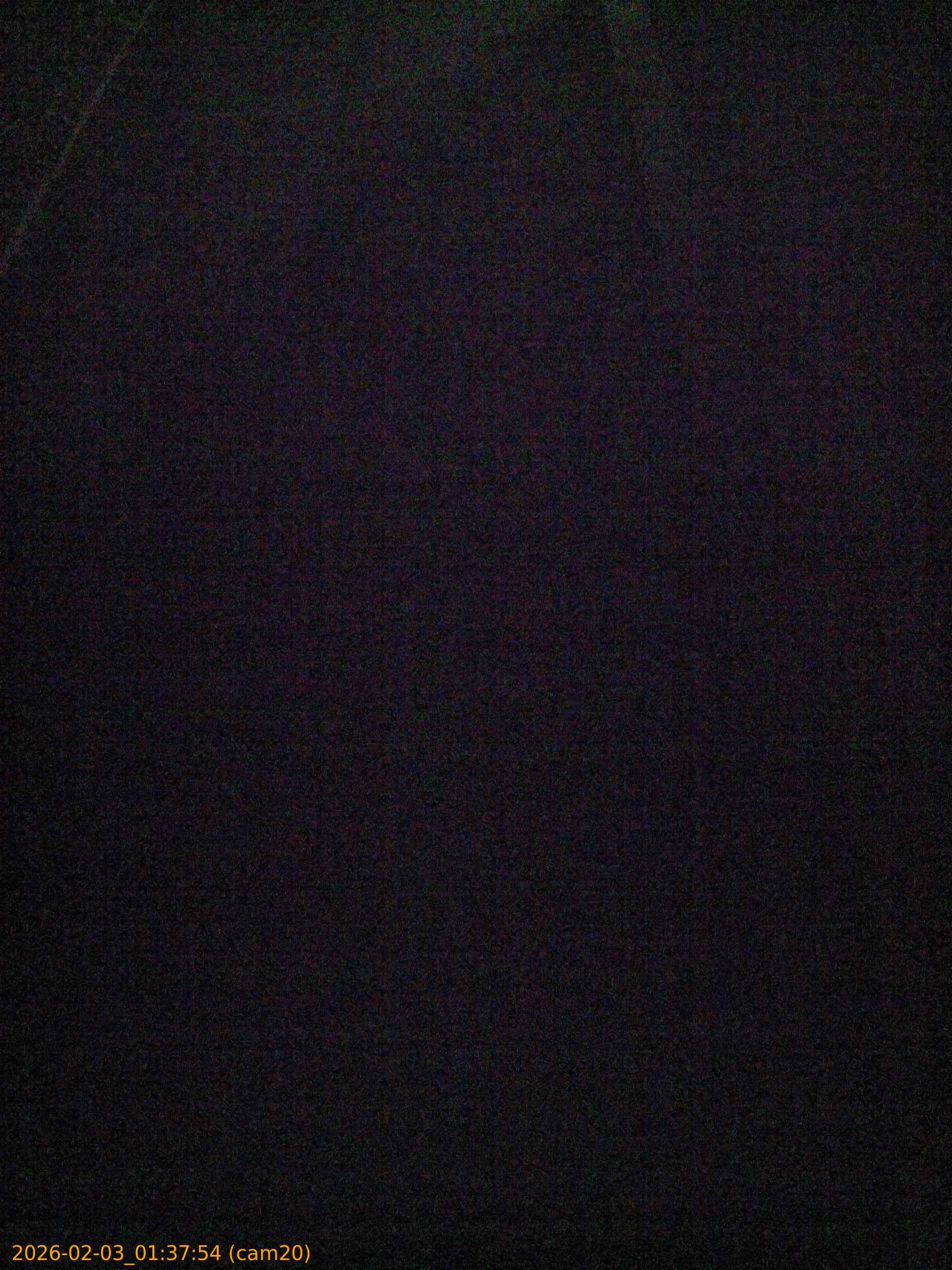 thumbnail_20260203013754