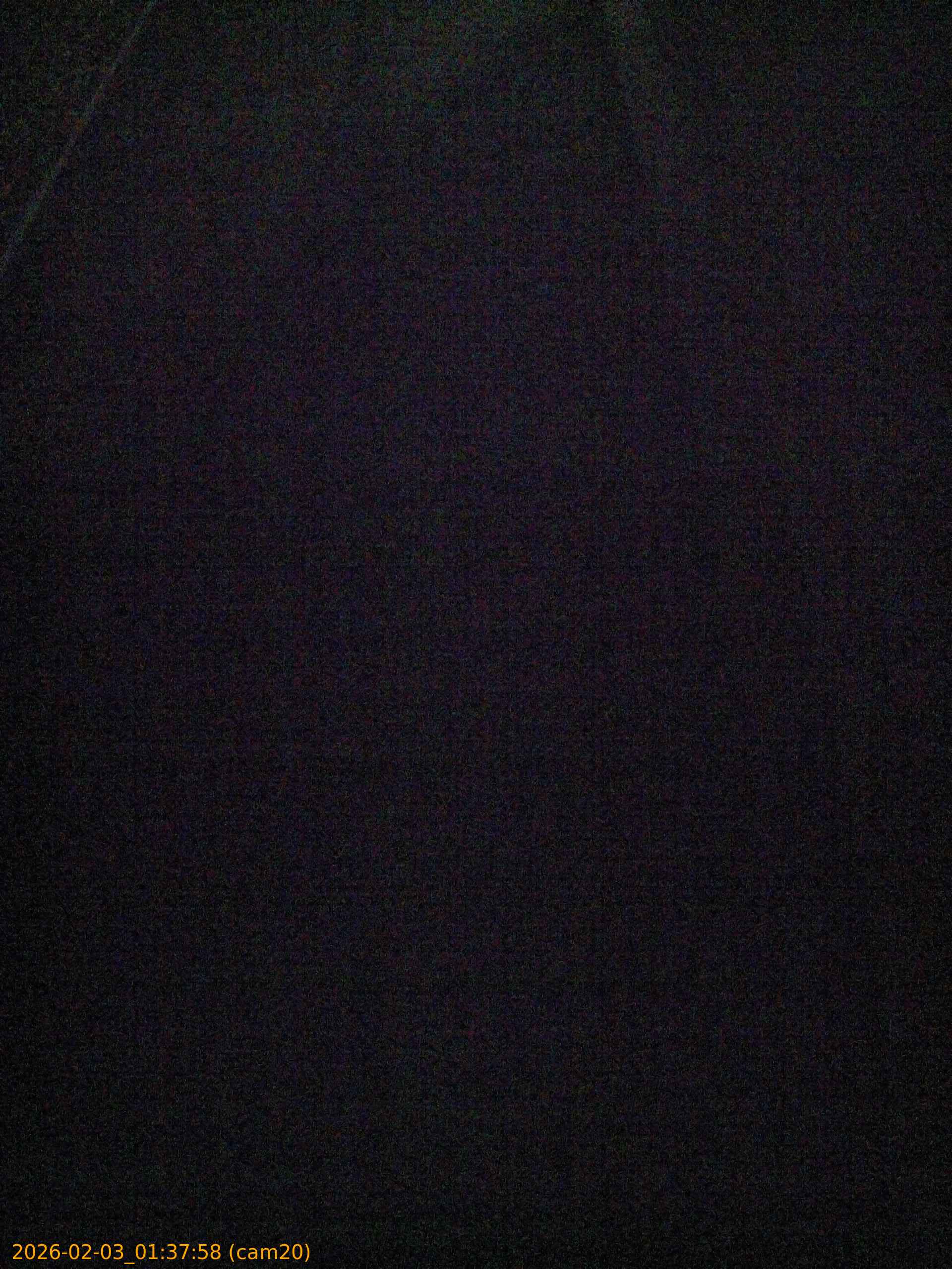 thumbnail_20260203013758