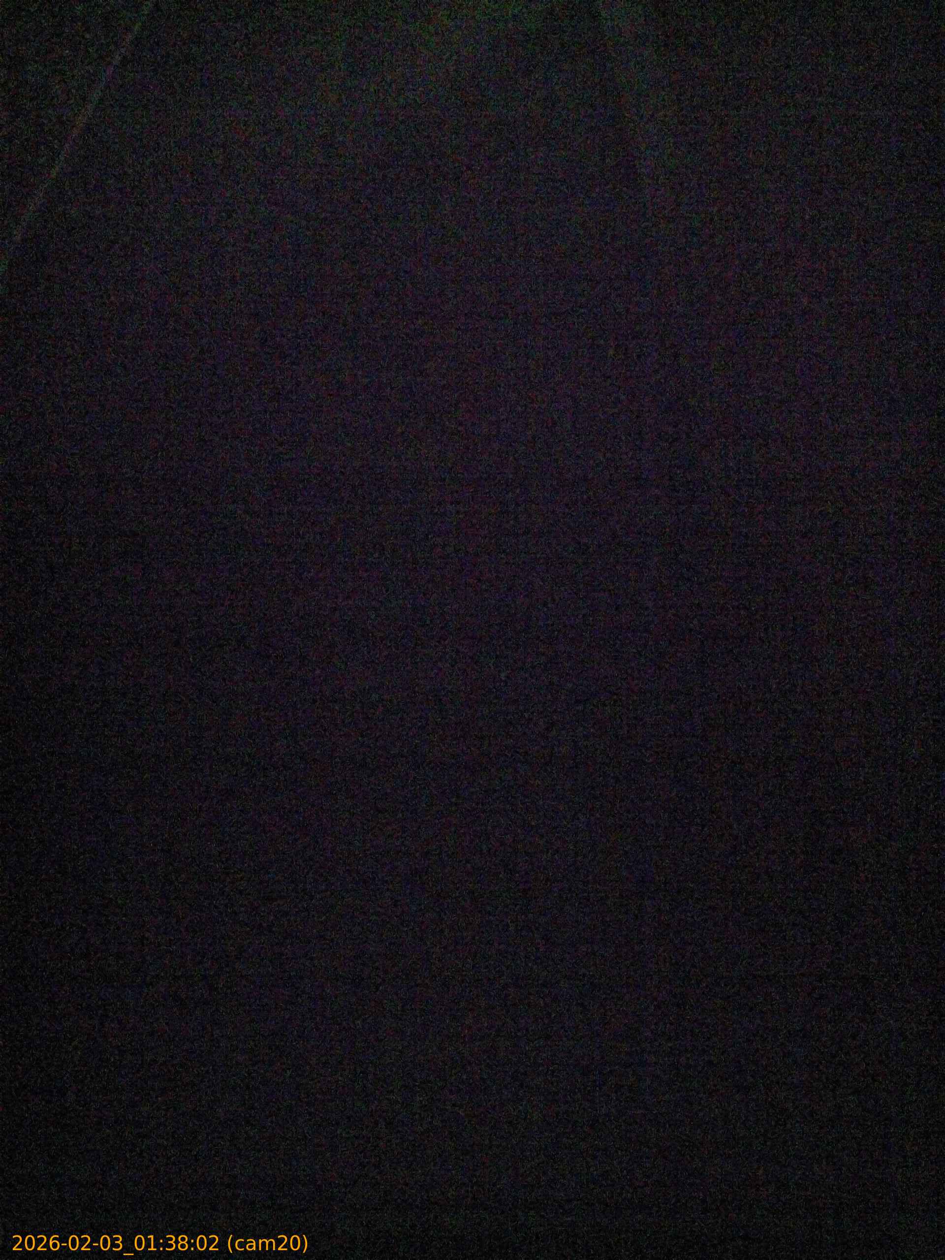 thumbnail_20260203013802