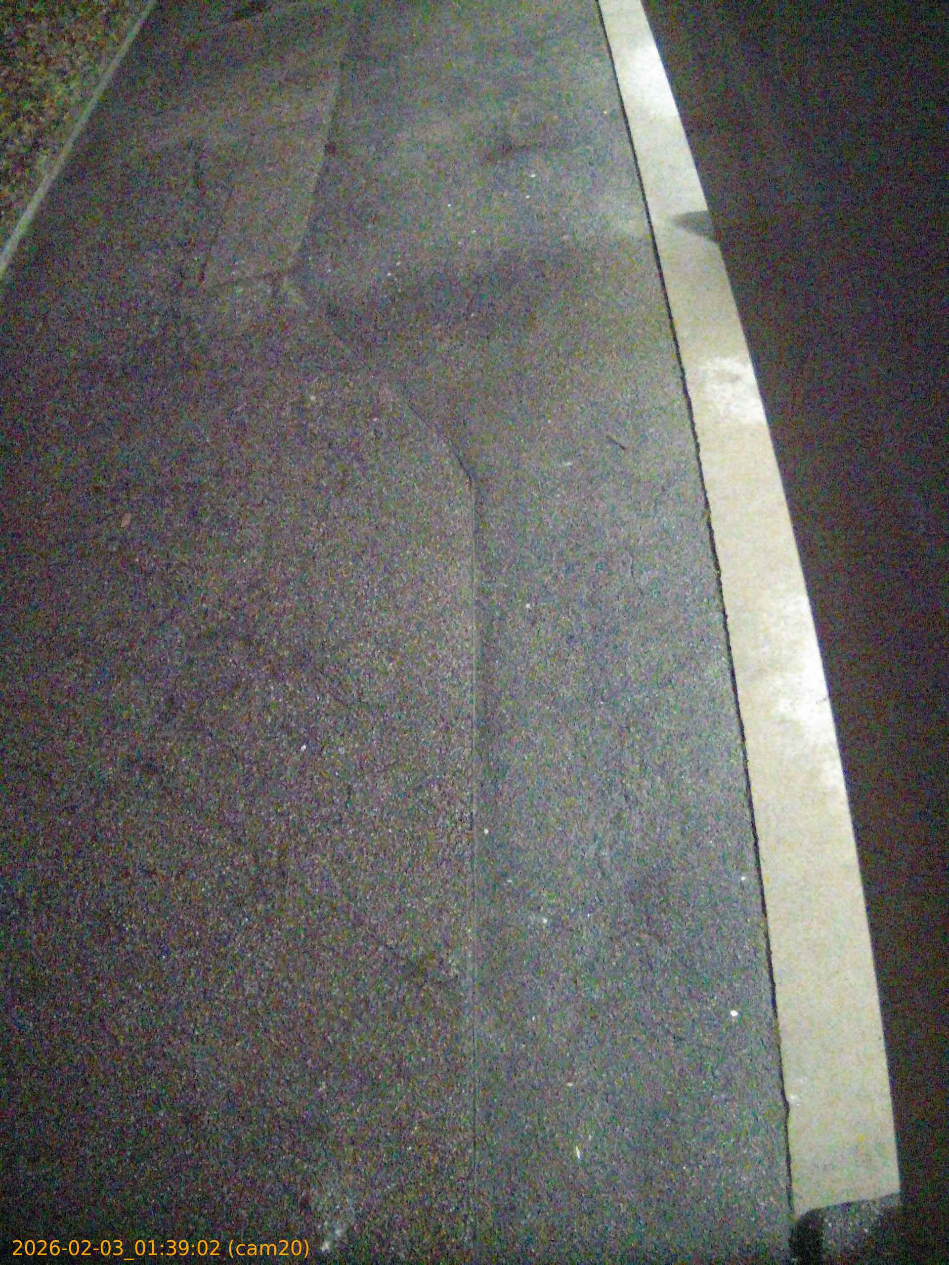 thumbnail_20260203013902