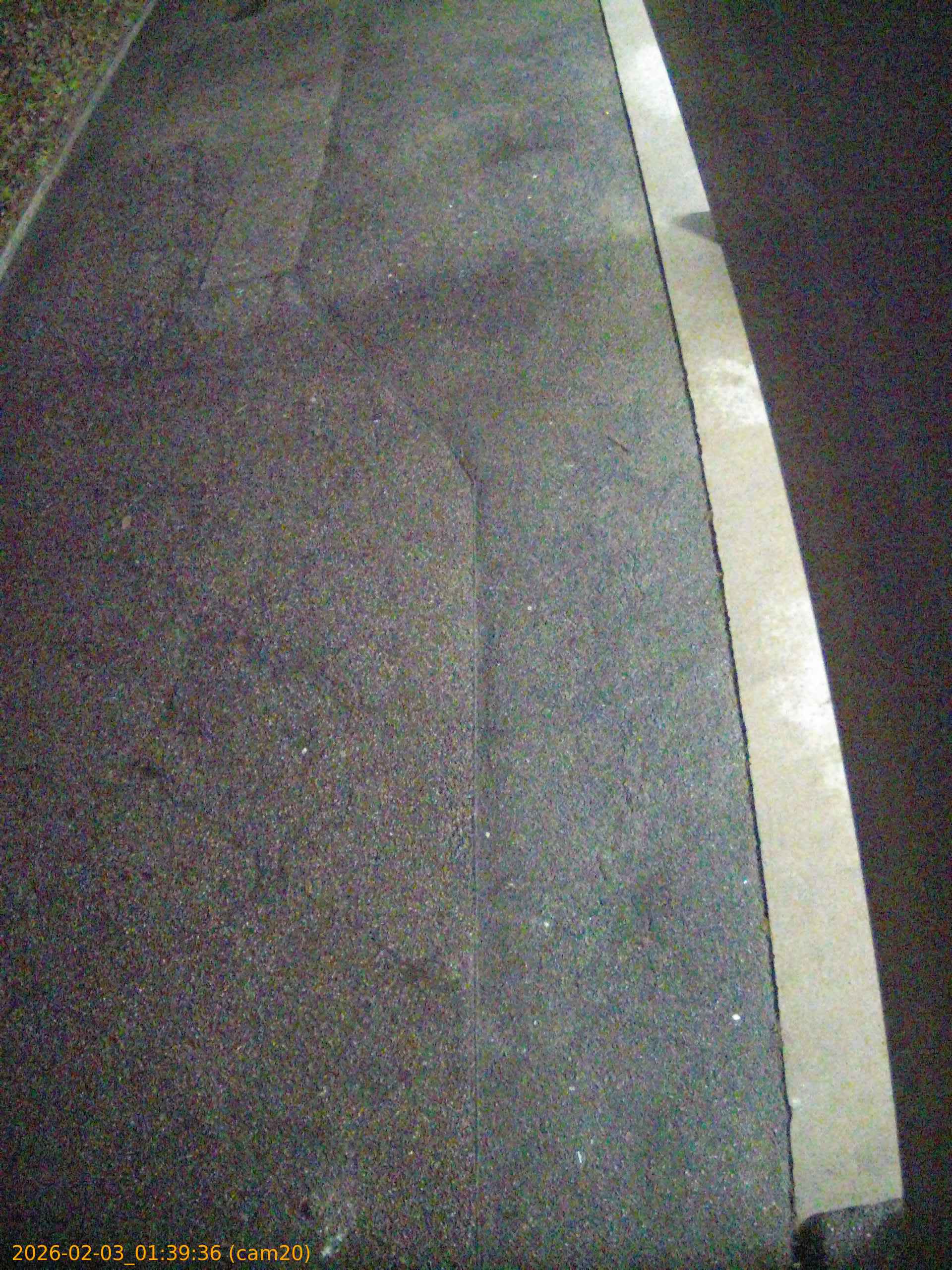 thumbnail_20260203013936