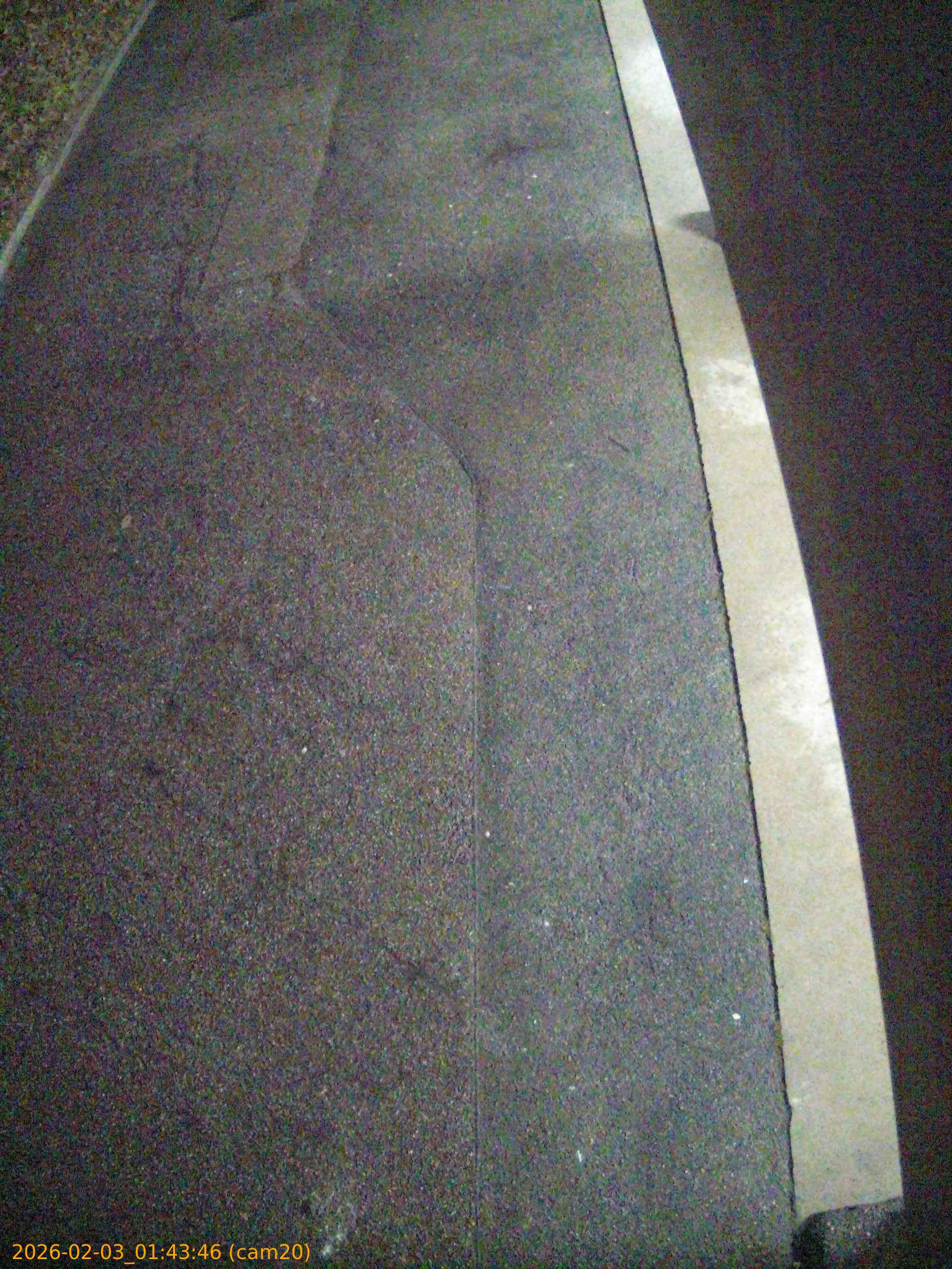 thumbnail_20260203014346