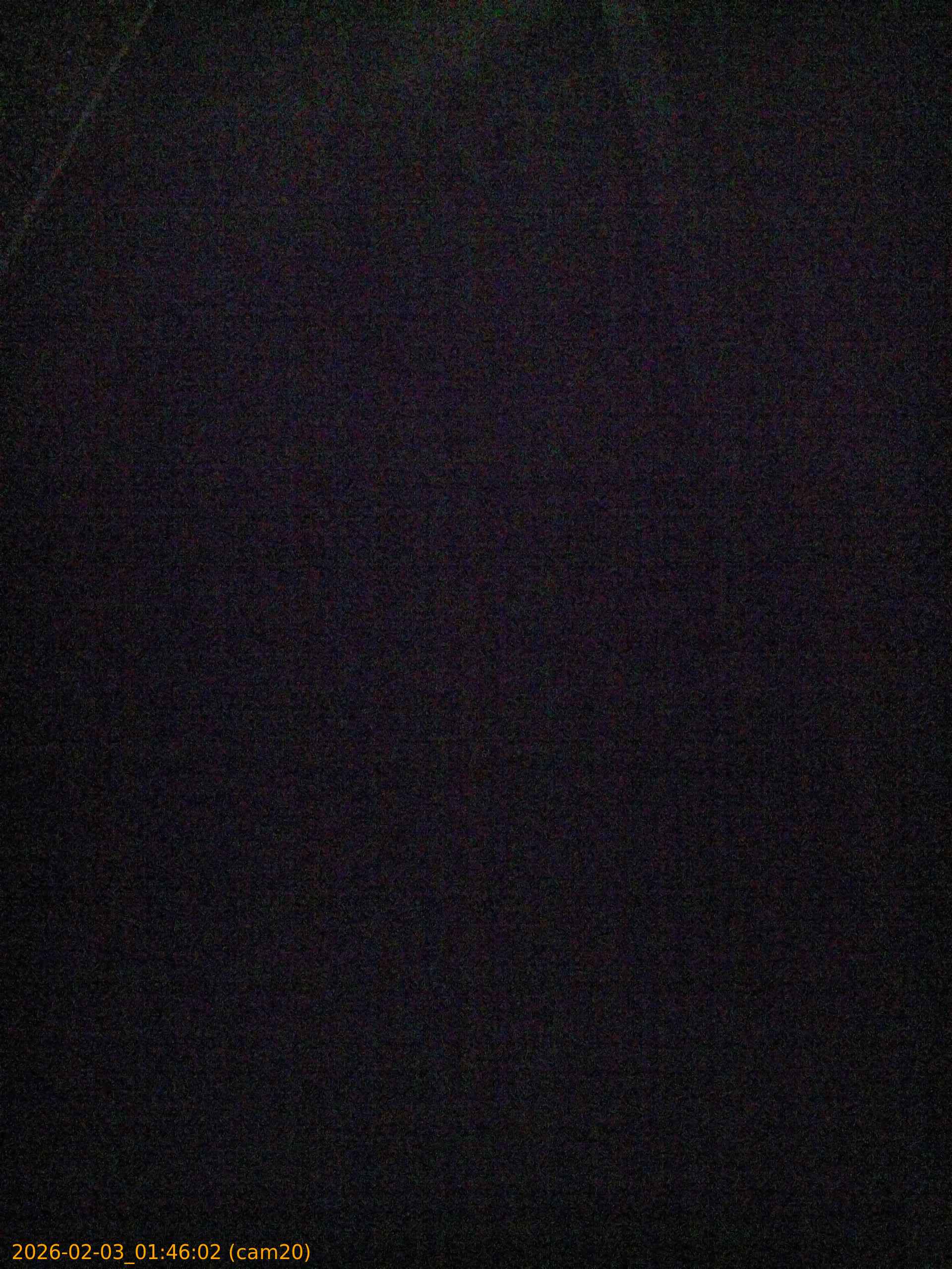 thumbnail_20260203014602