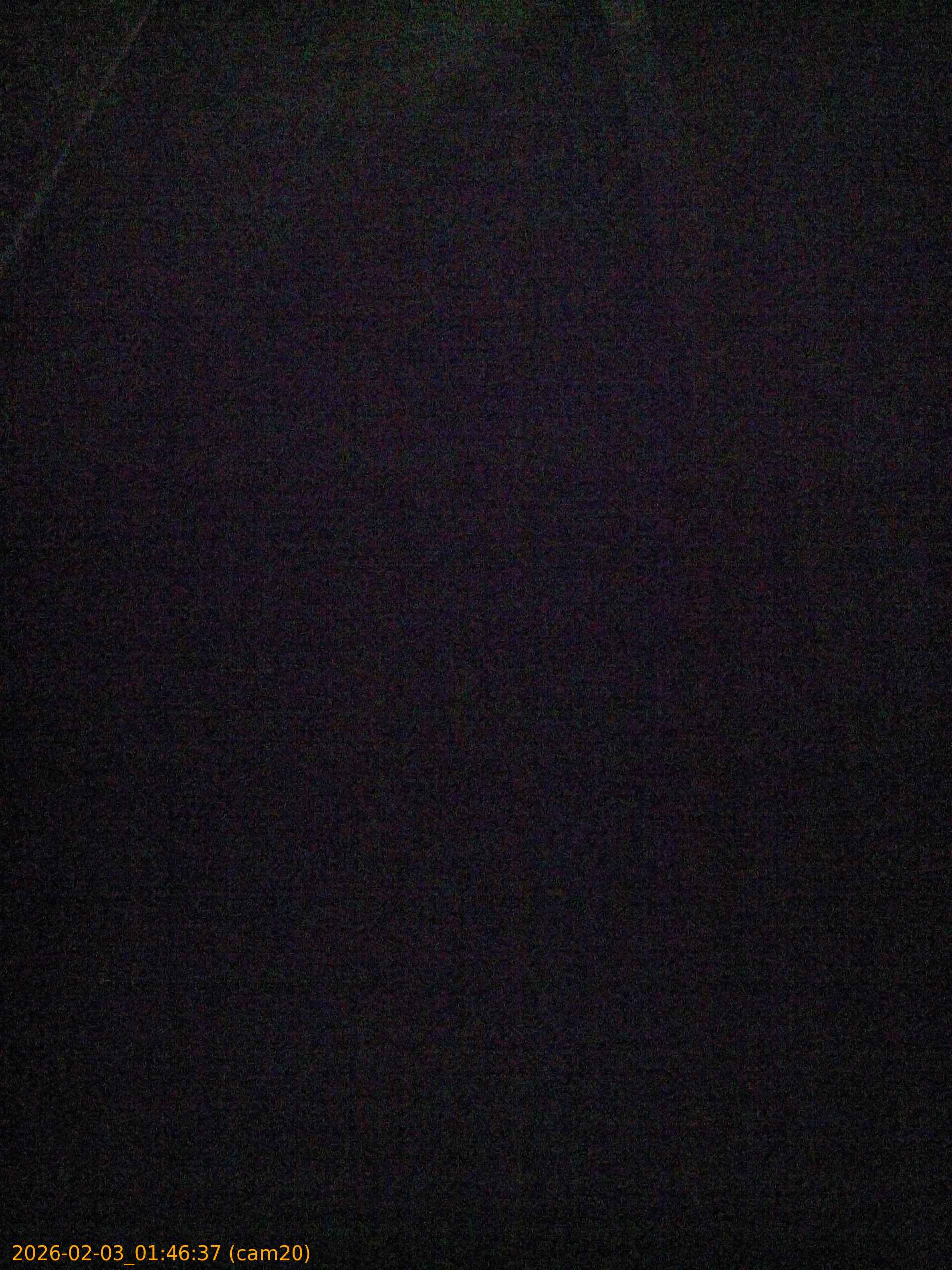 thumbnail_20260203014637