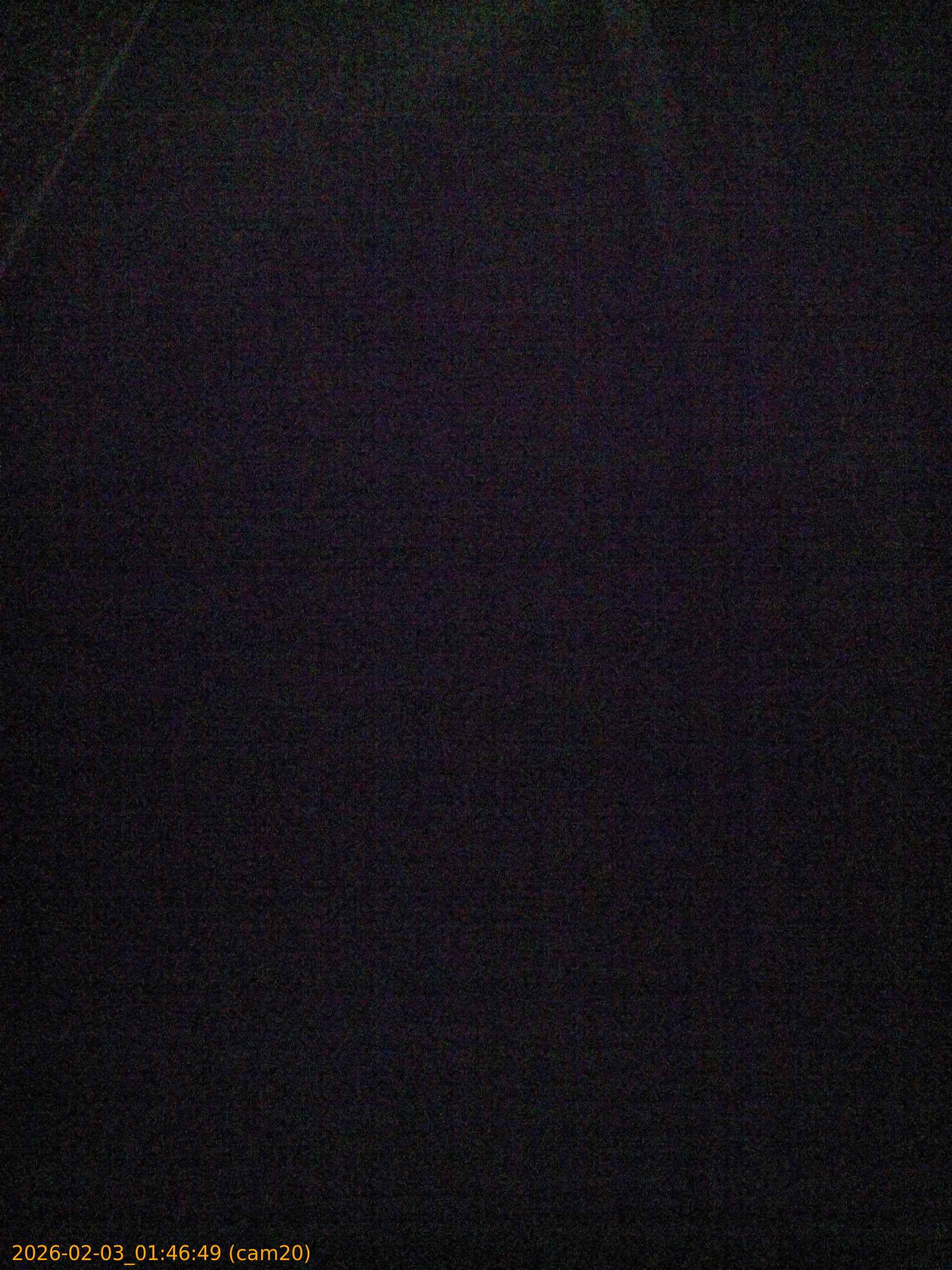 thumbnail_20260203014649