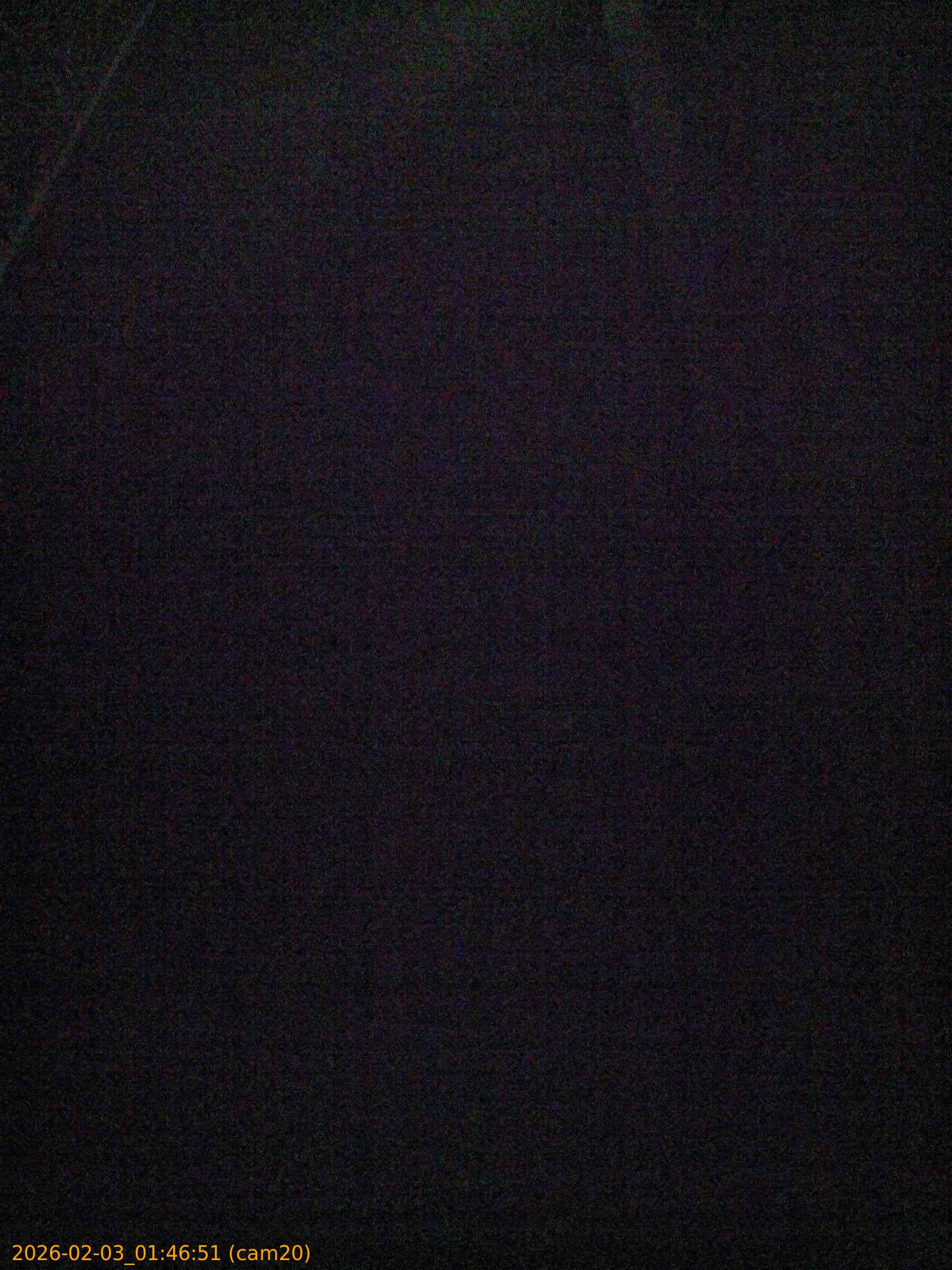 thumbnail_20260203014651