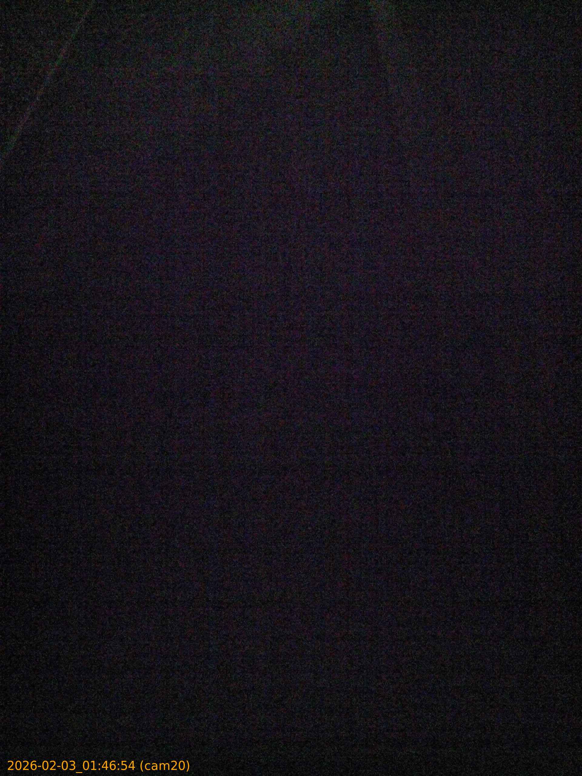 thumbnail_20260203014654