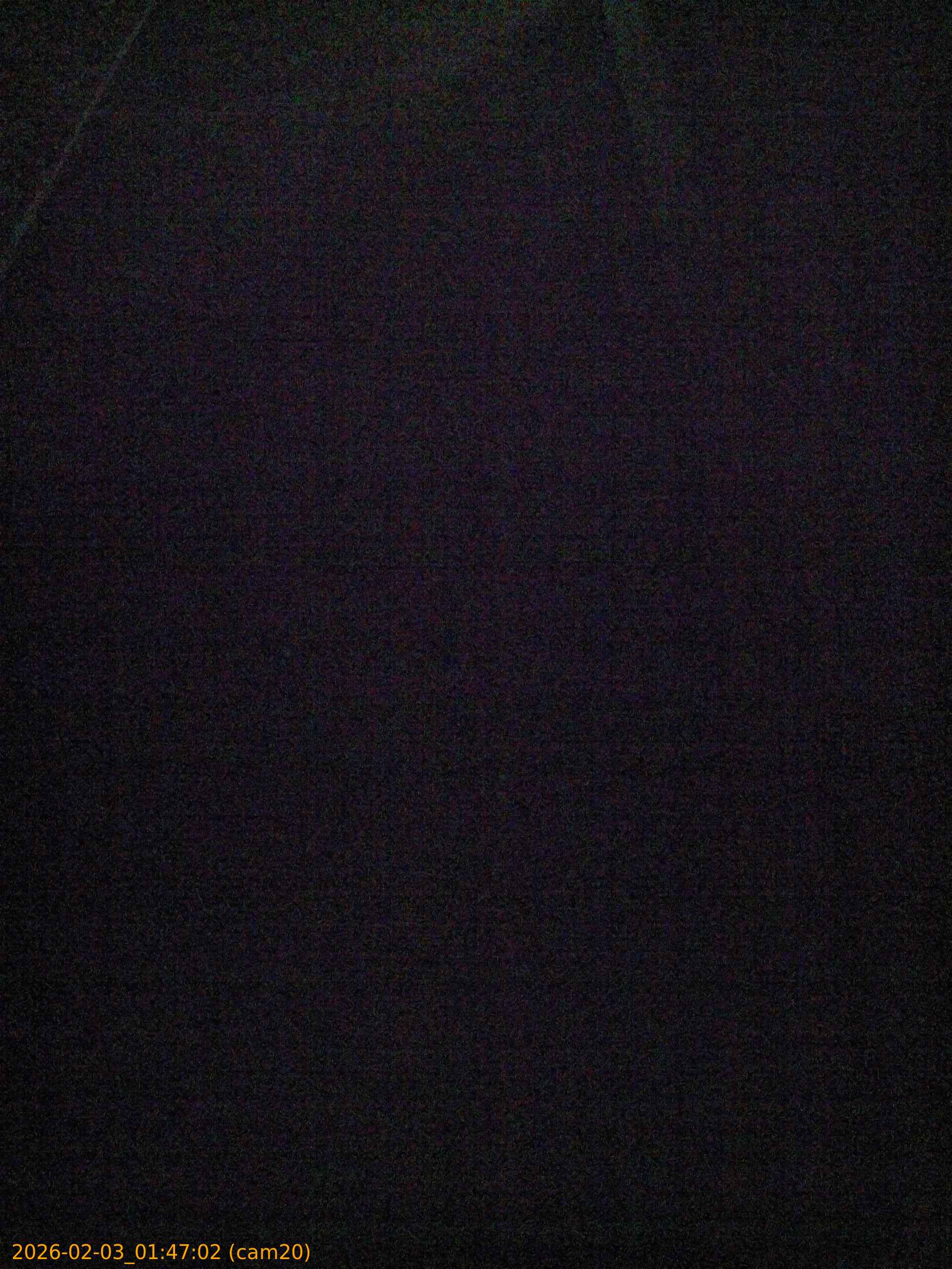 thumbnail_20260203014702