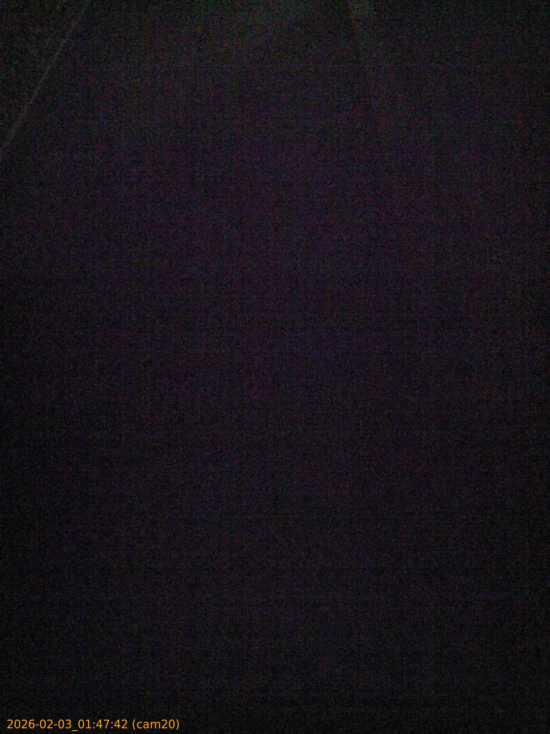 thumbnail_20260203014742