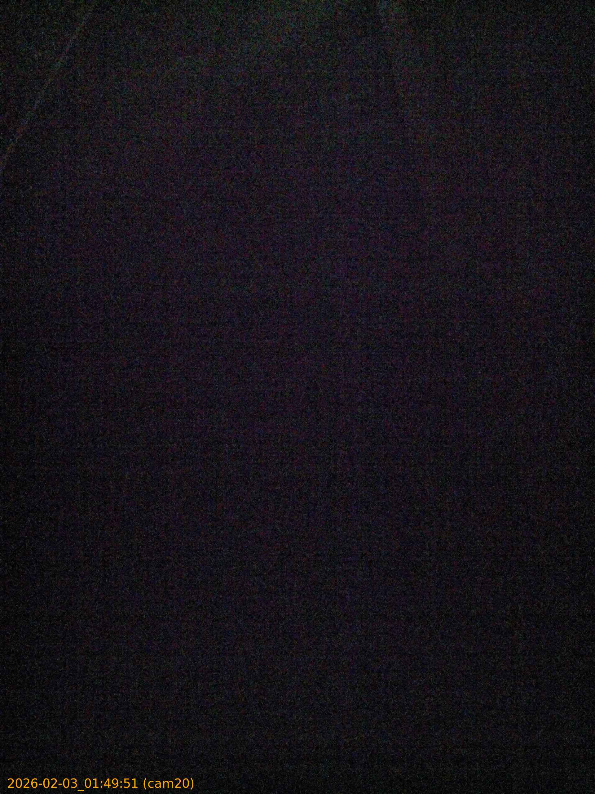 20260203014951