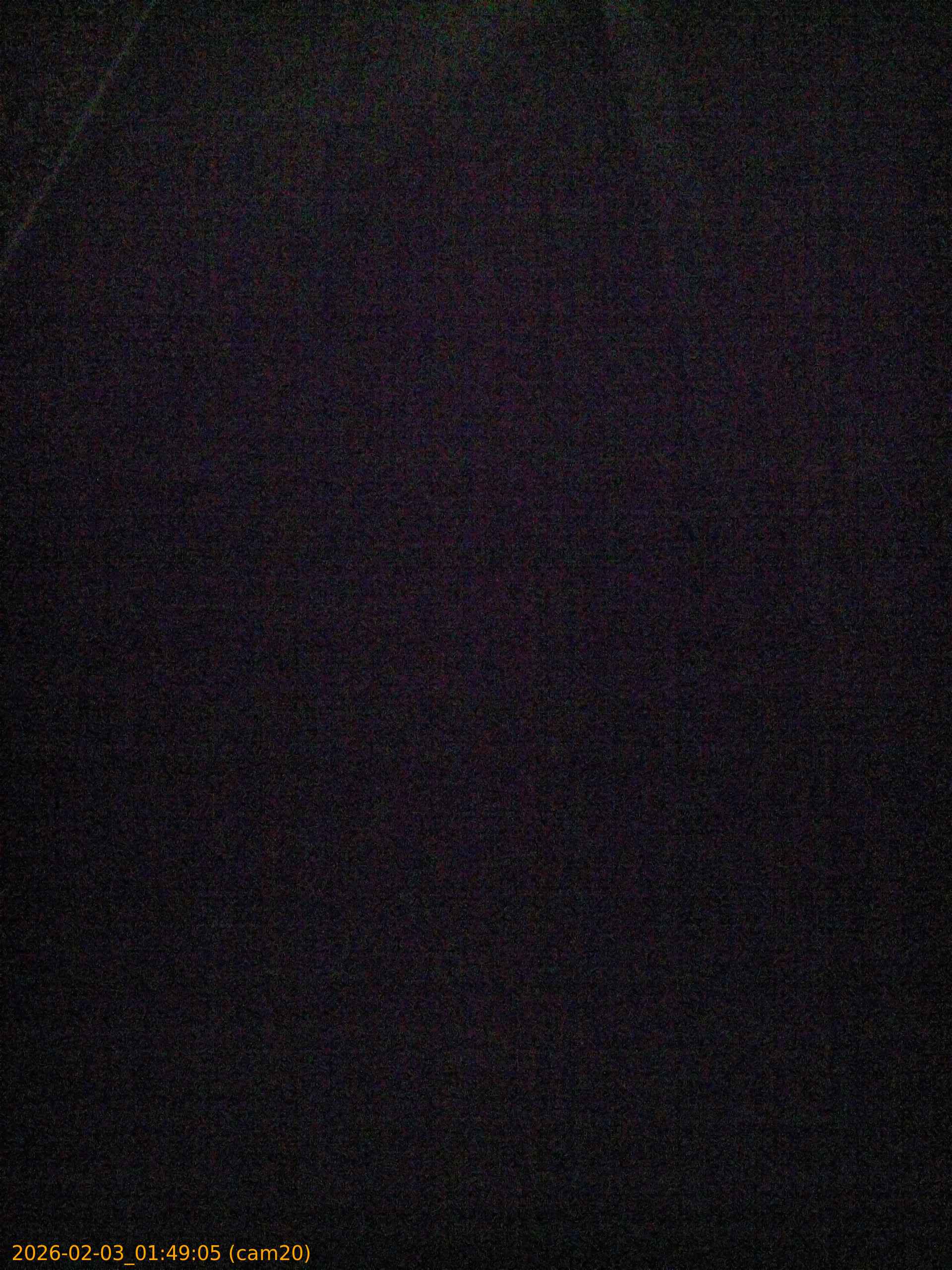 thumbnail_20260203014905