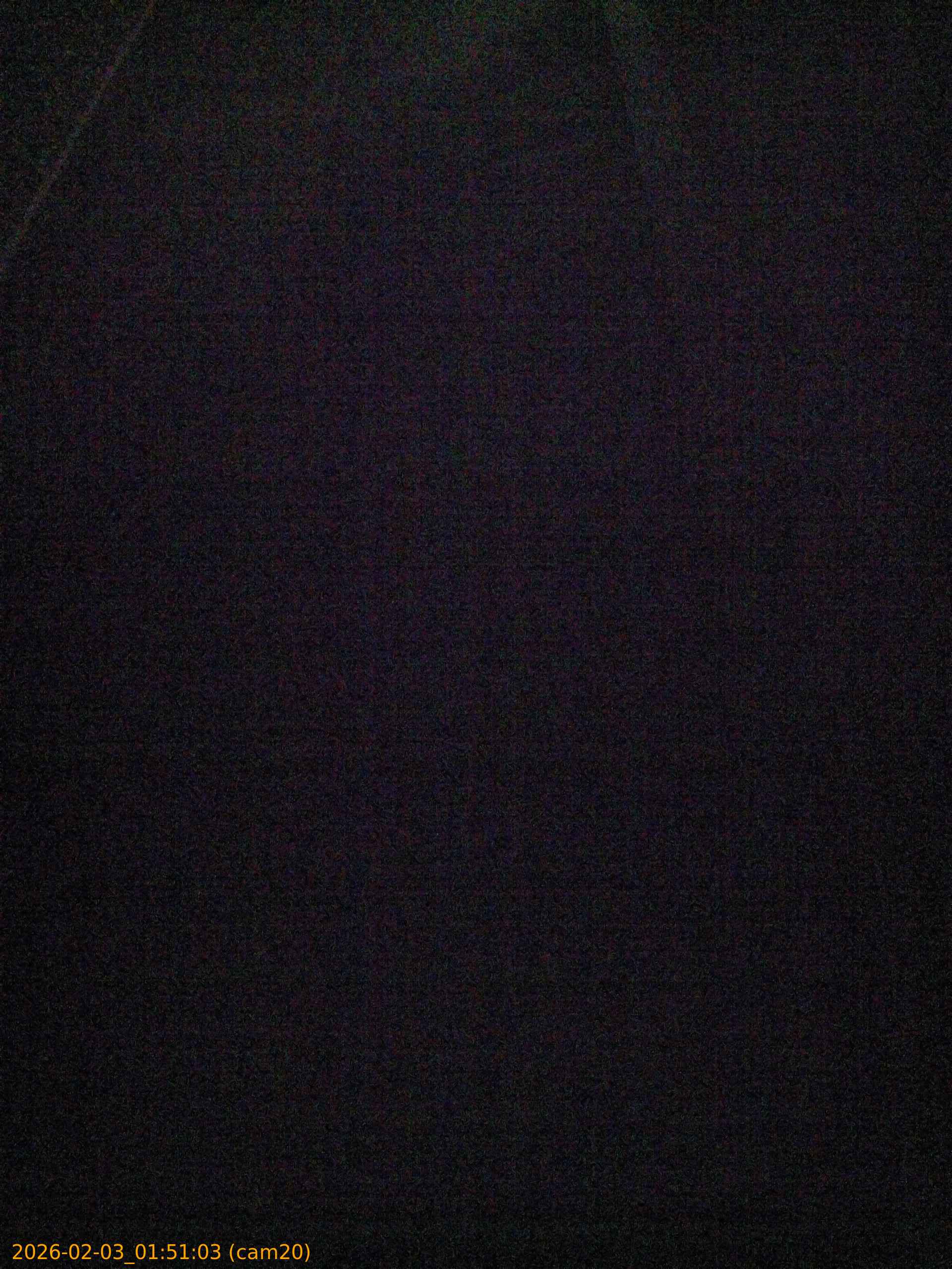 thumbnail_20260203015103