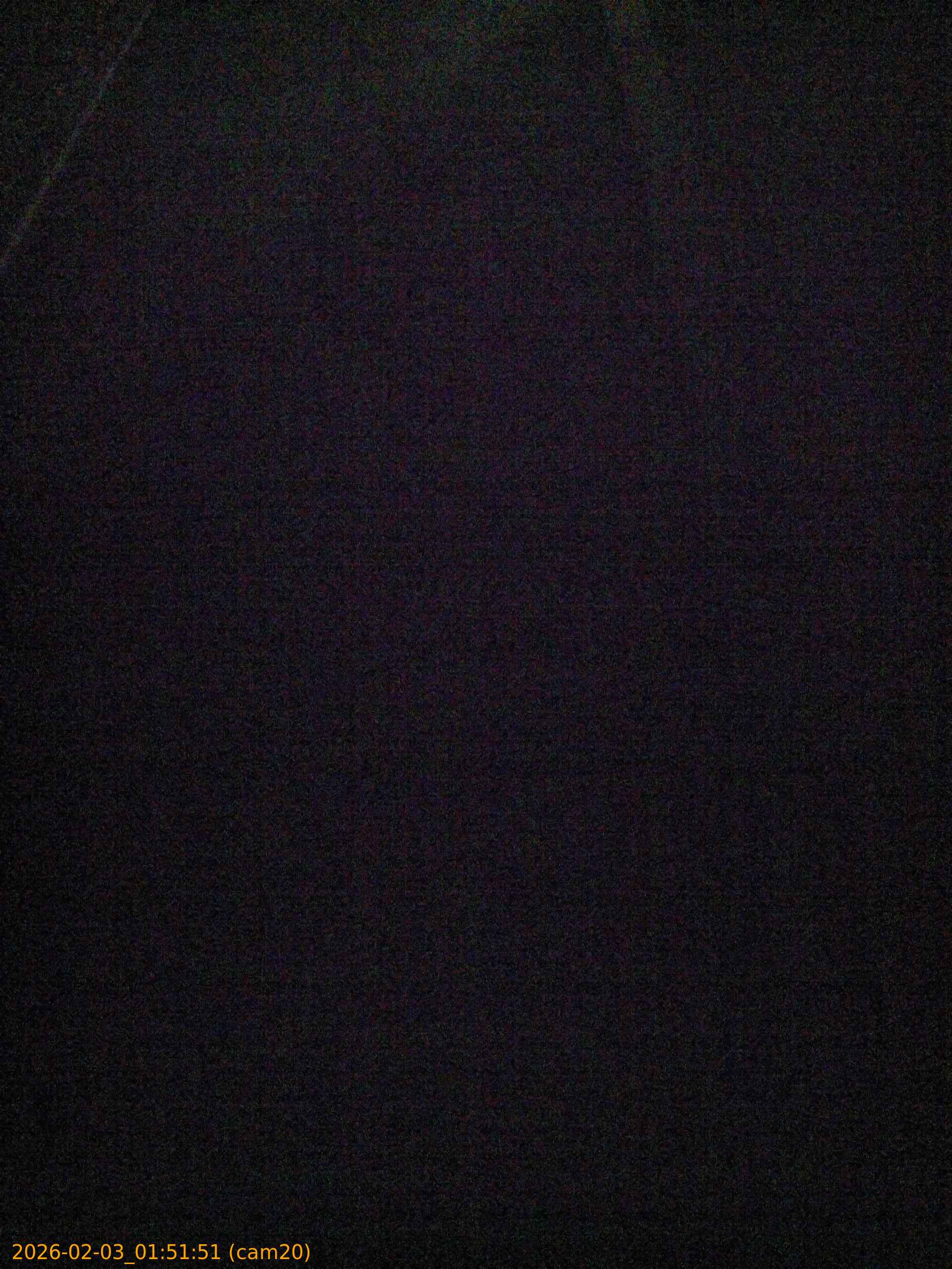 thumbnail_20260203015151