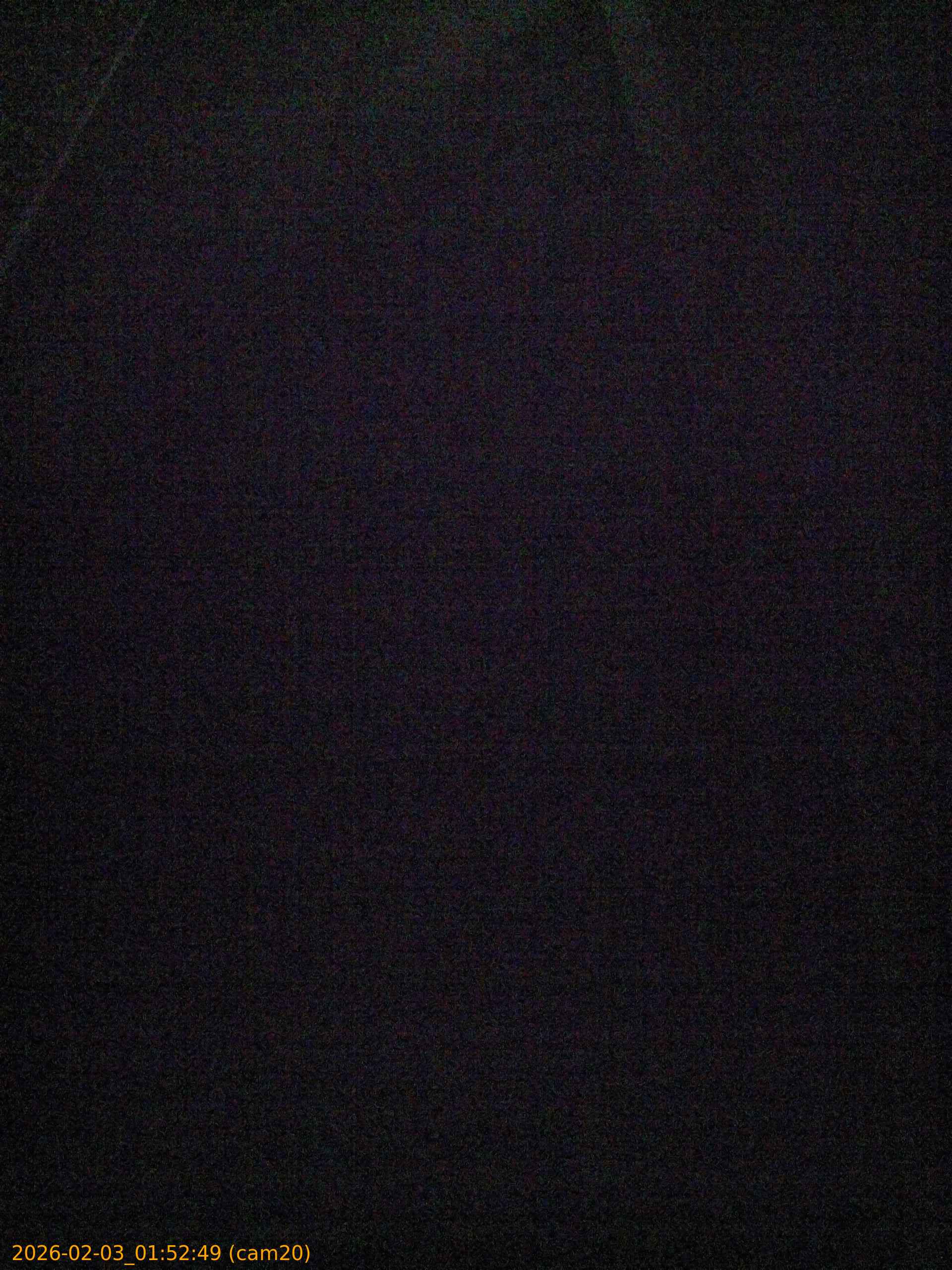 thumbnail_20260203015249