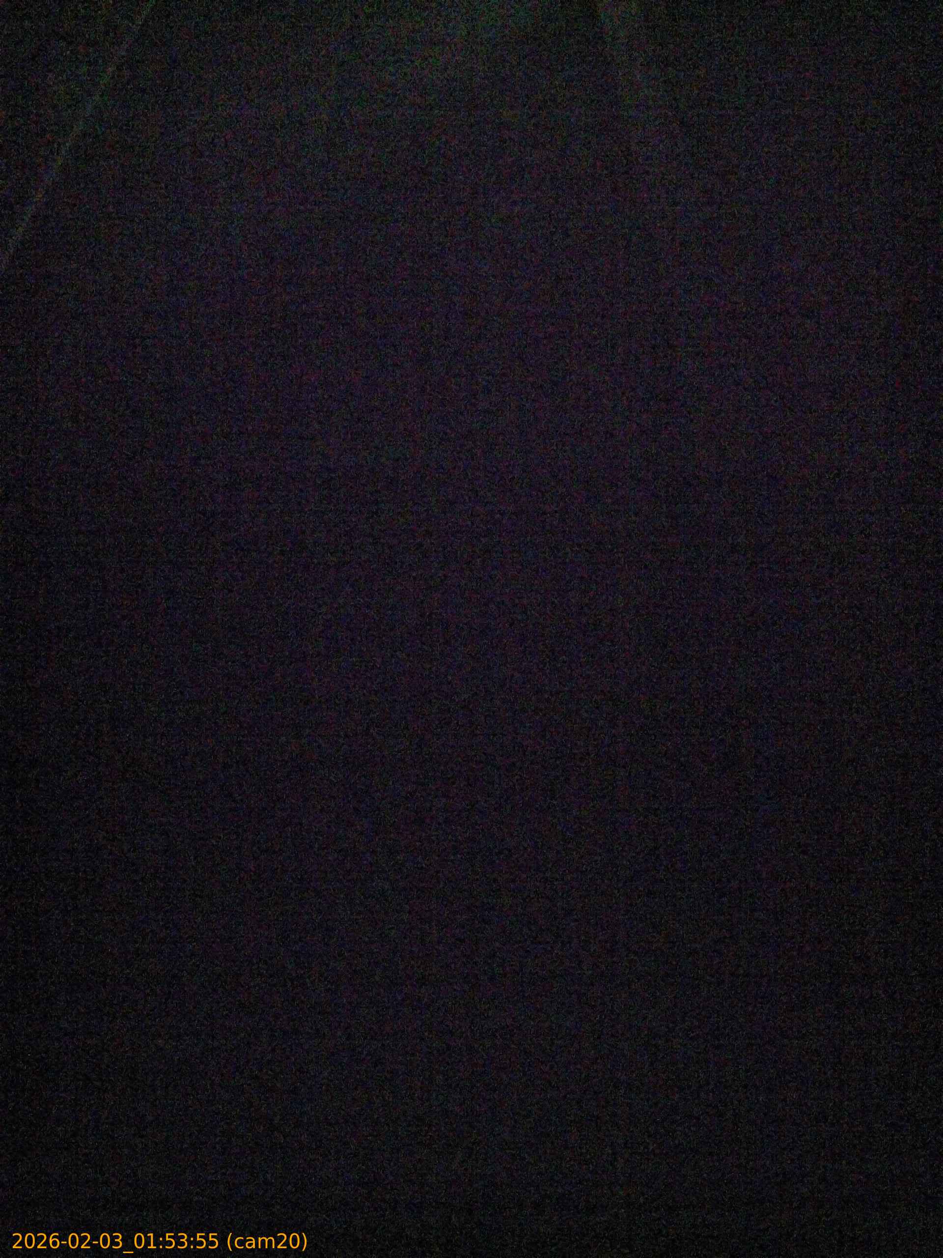 20260203015355
