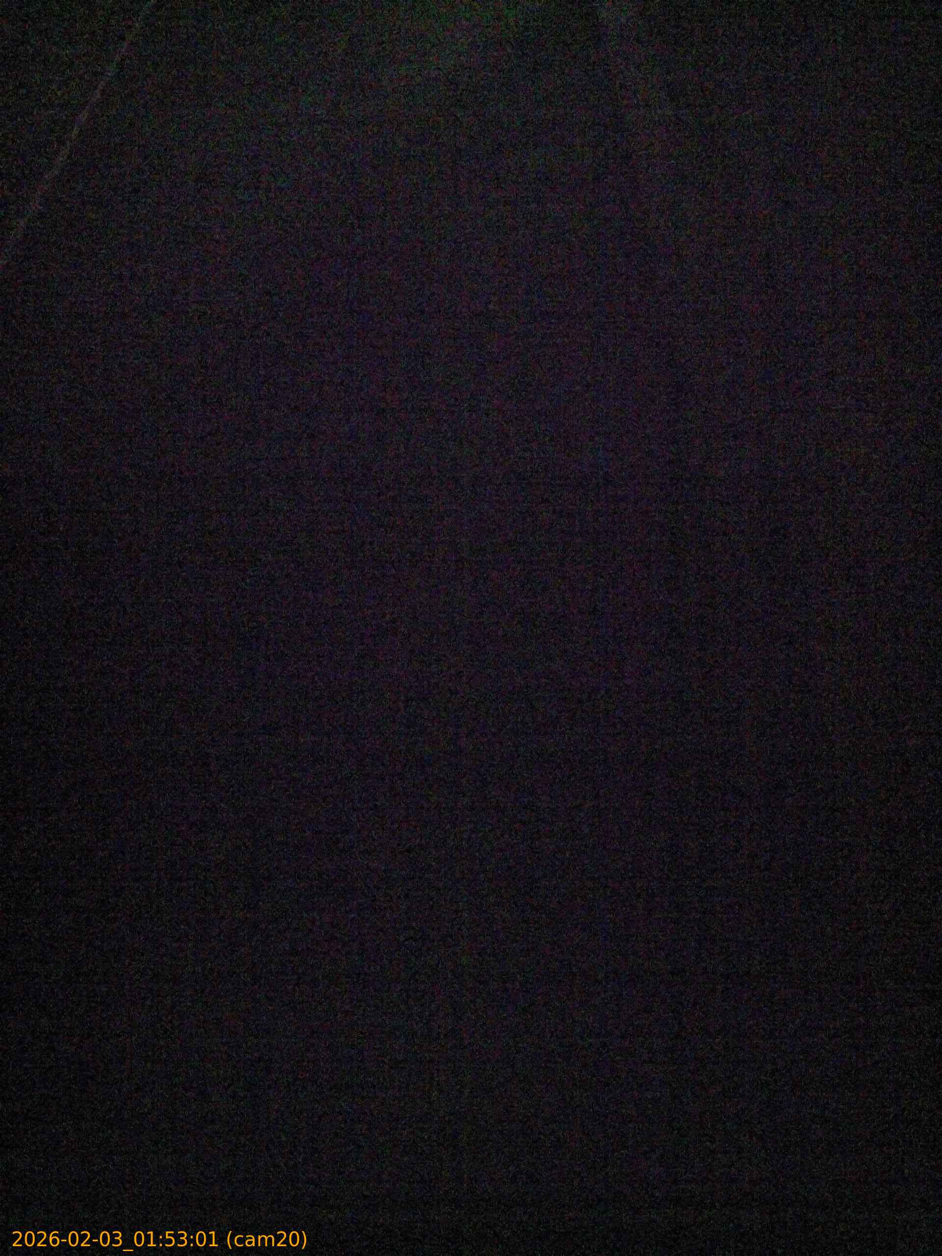 thumbnail_20260203015301