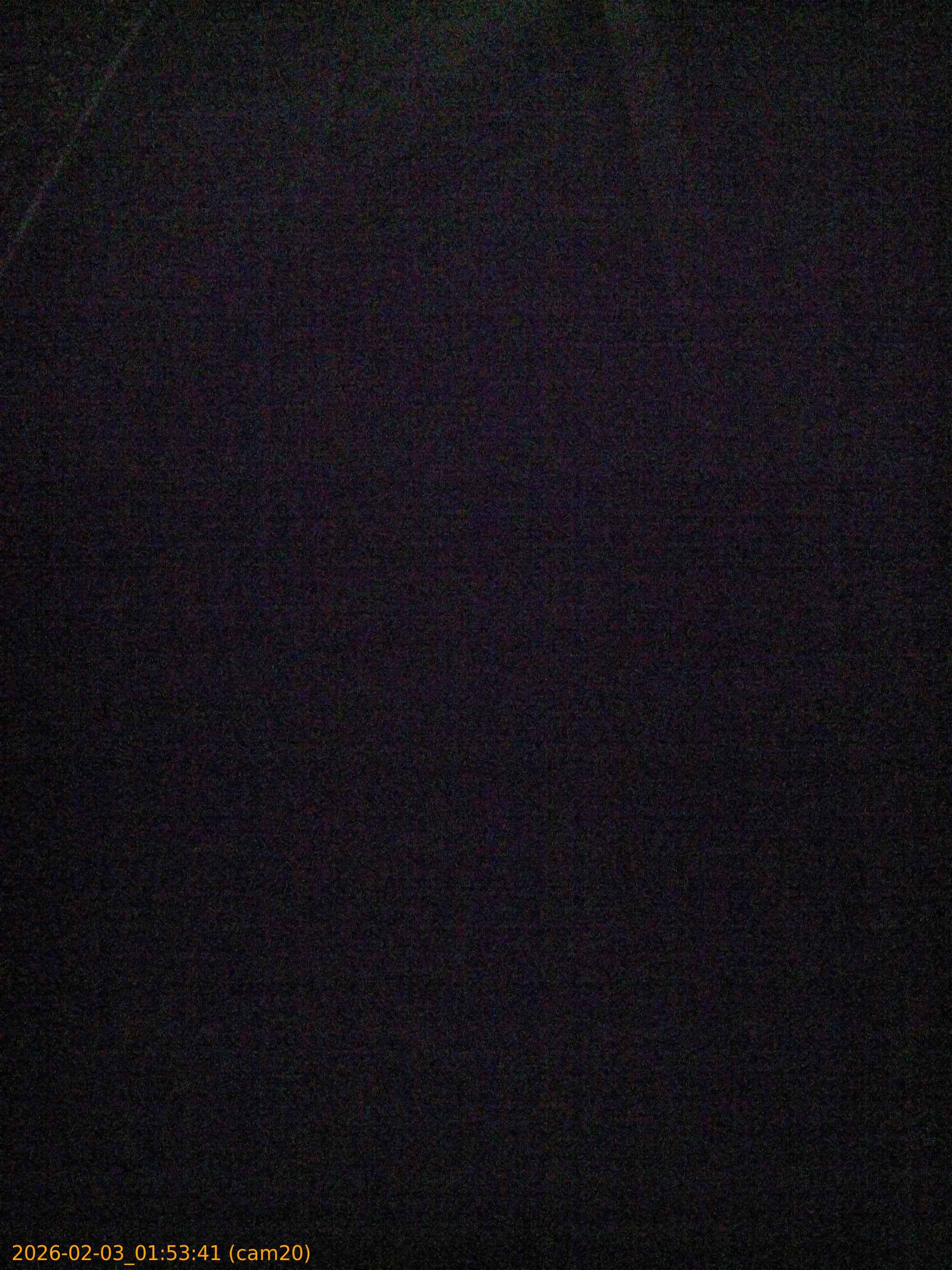 thumbnail_20260203015341