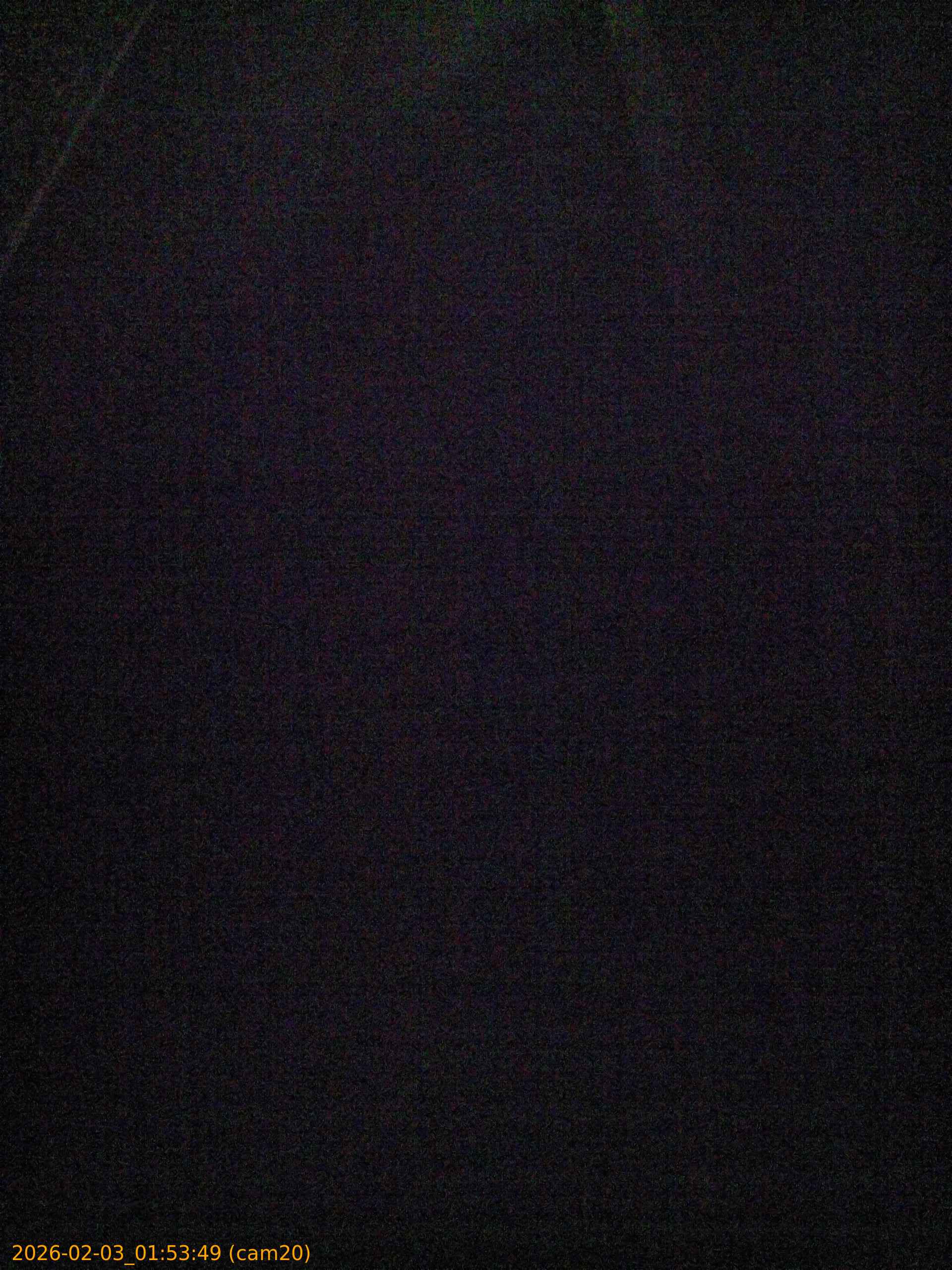 thumbnail_20260203015349