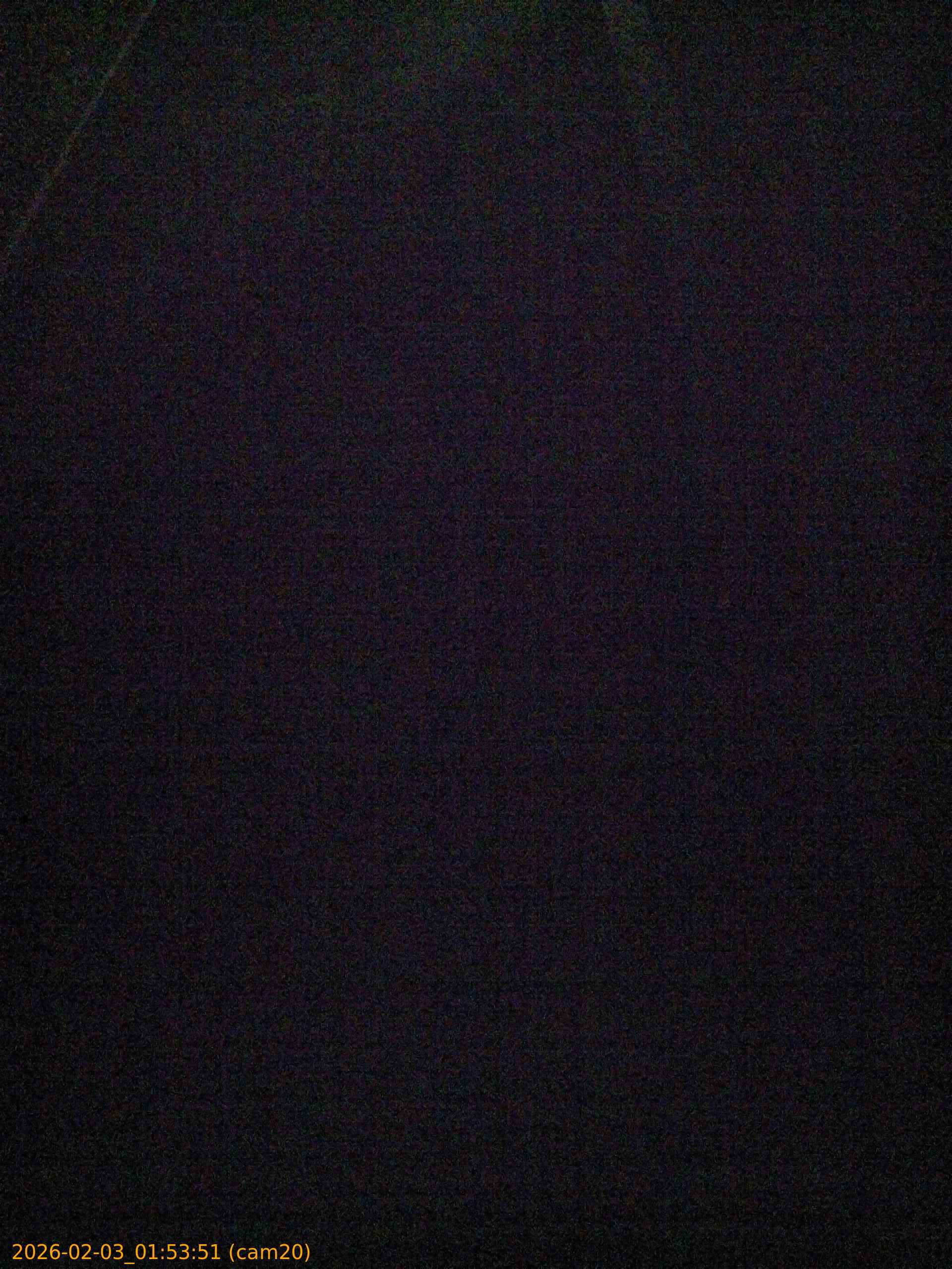 thumbnail_20260203015351