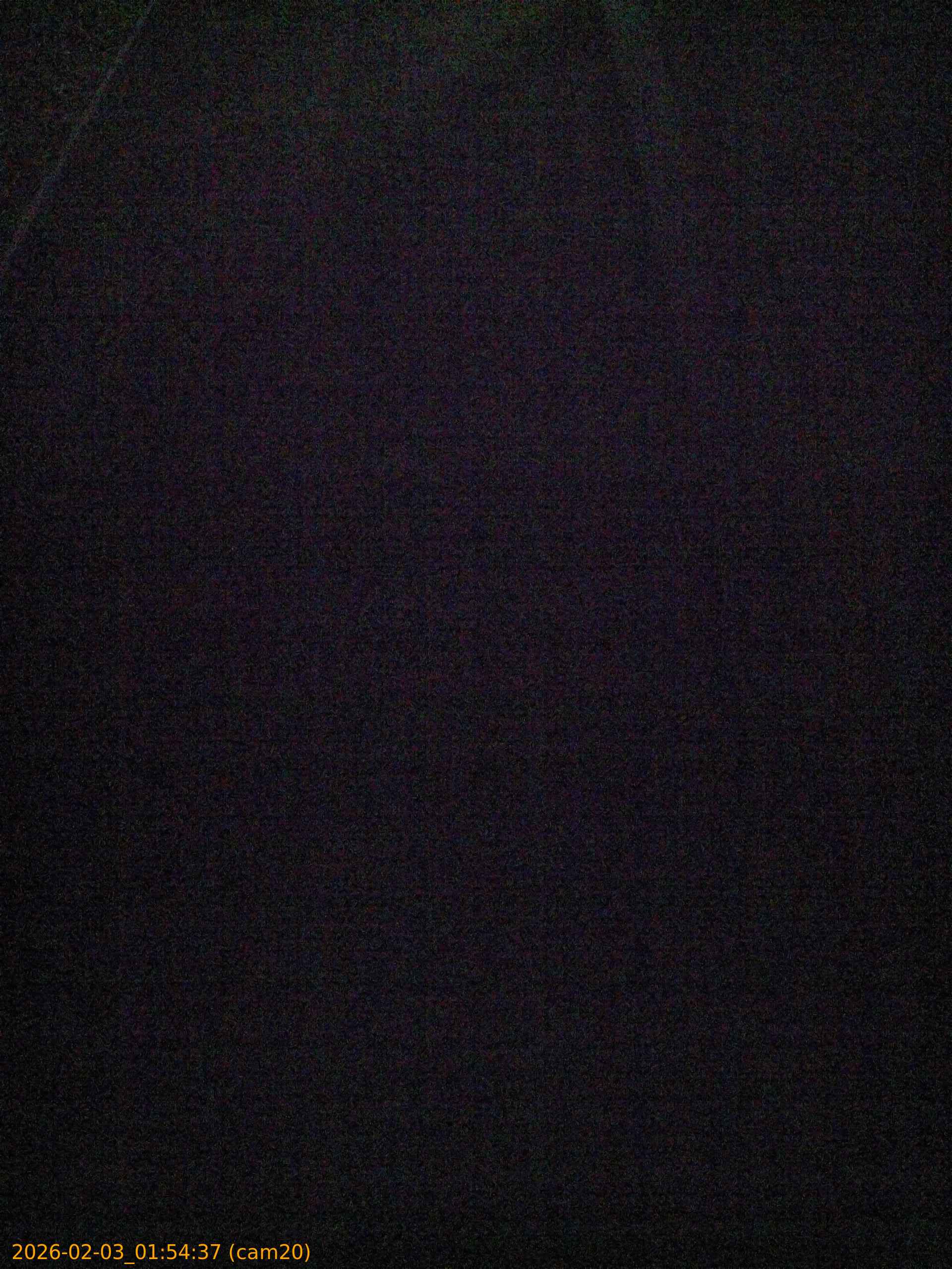 thumbnail_20260203015437