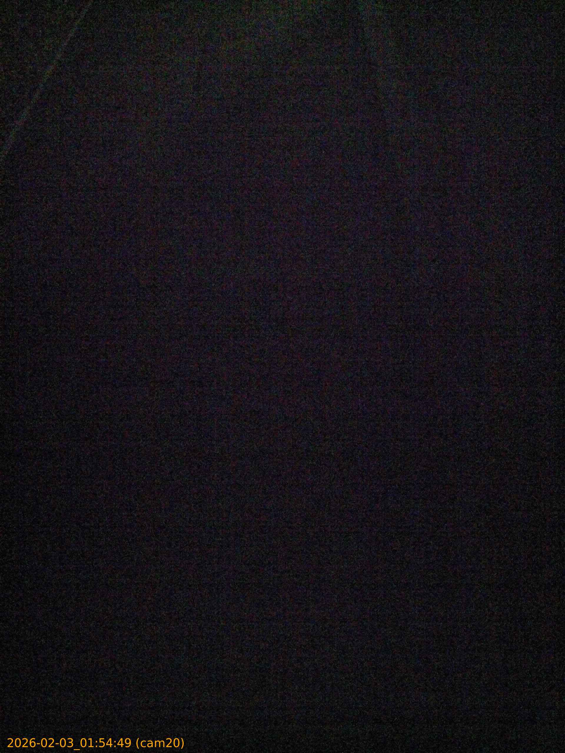 thumbnail_20260203015449