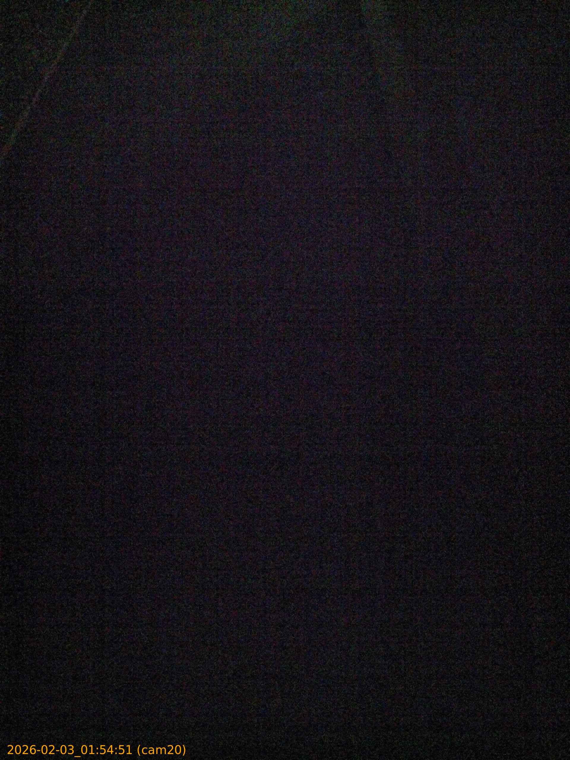 thumbnail_20260203015451