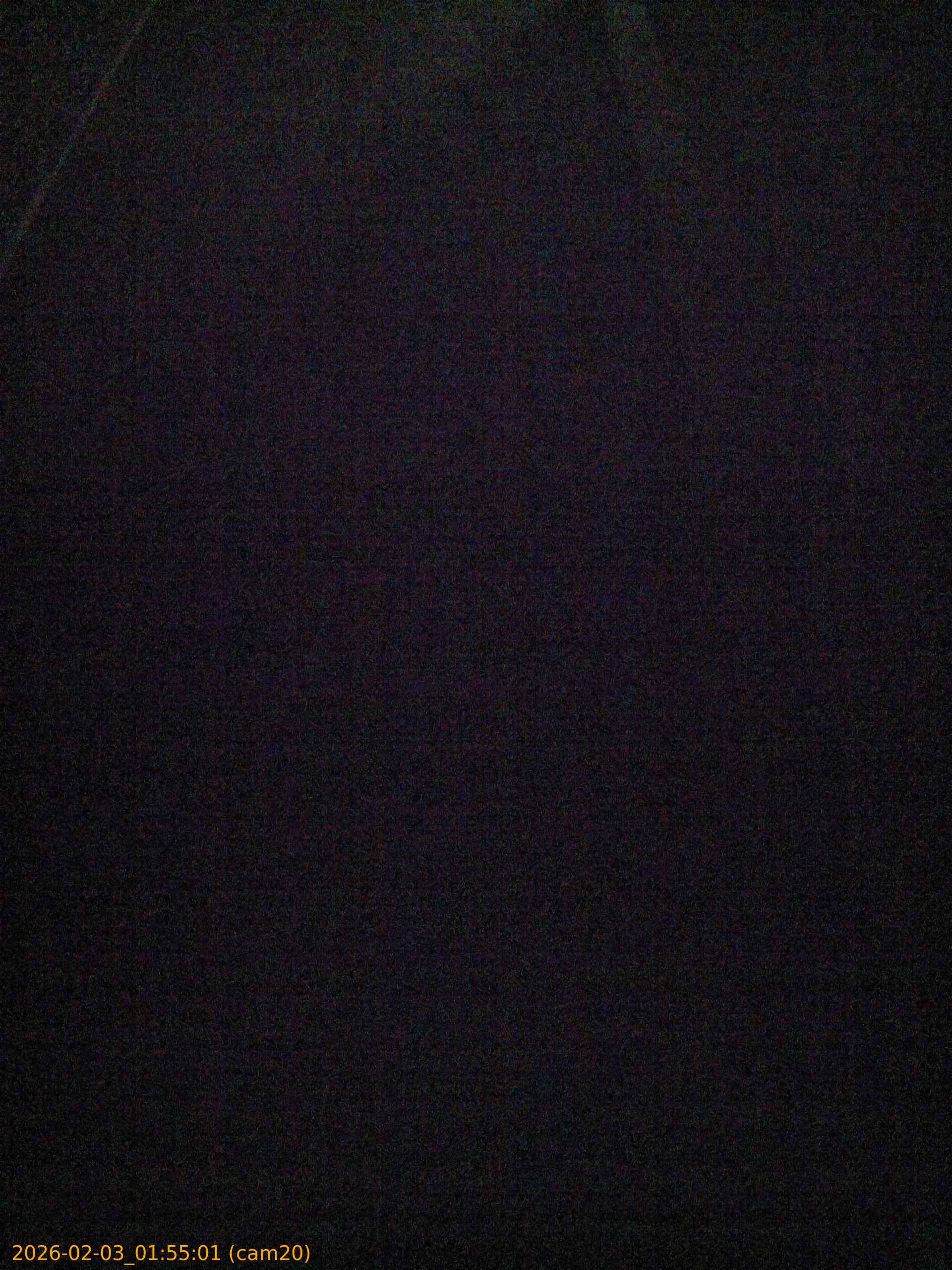 thumbnail_20260203015501