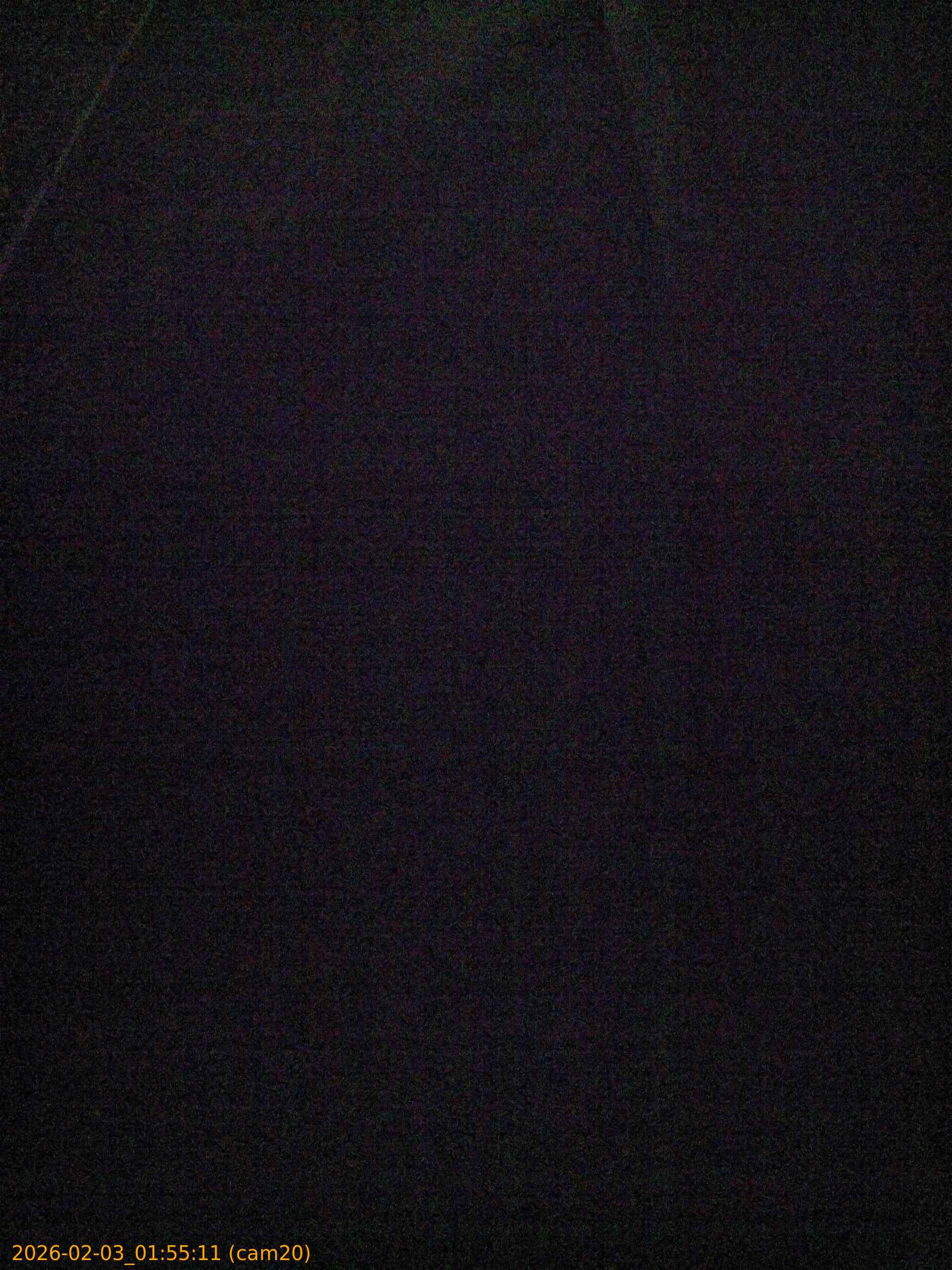 thumbnail_20260203015511