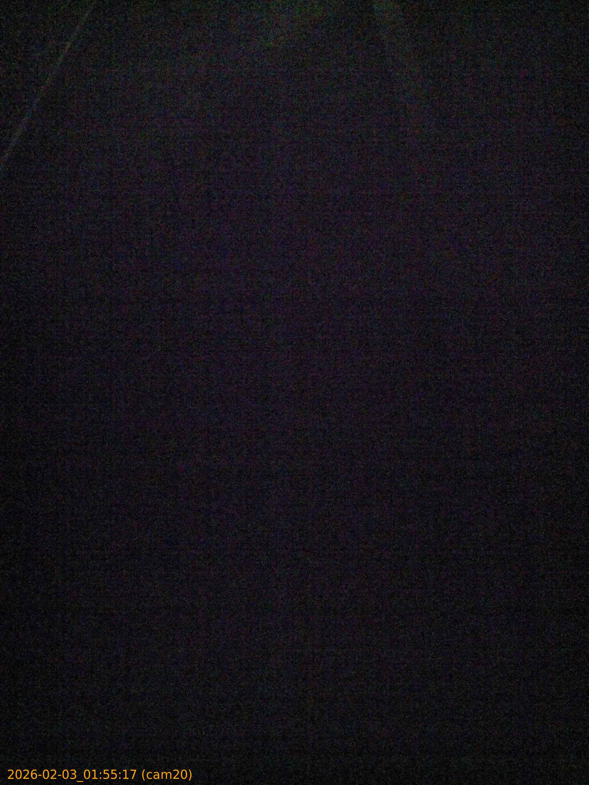 thumbnail_20260203015517