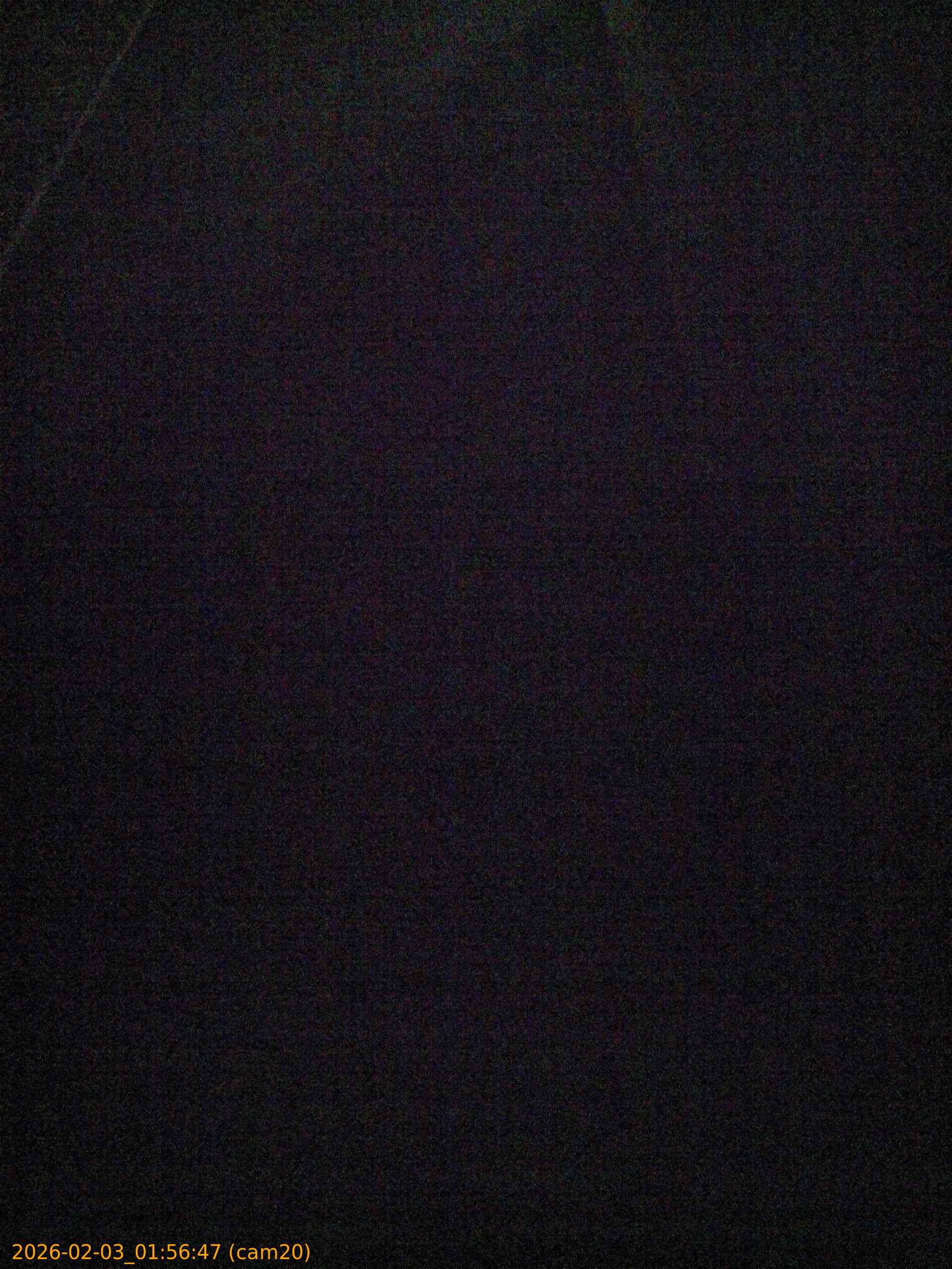 thumbnail_20260203015647