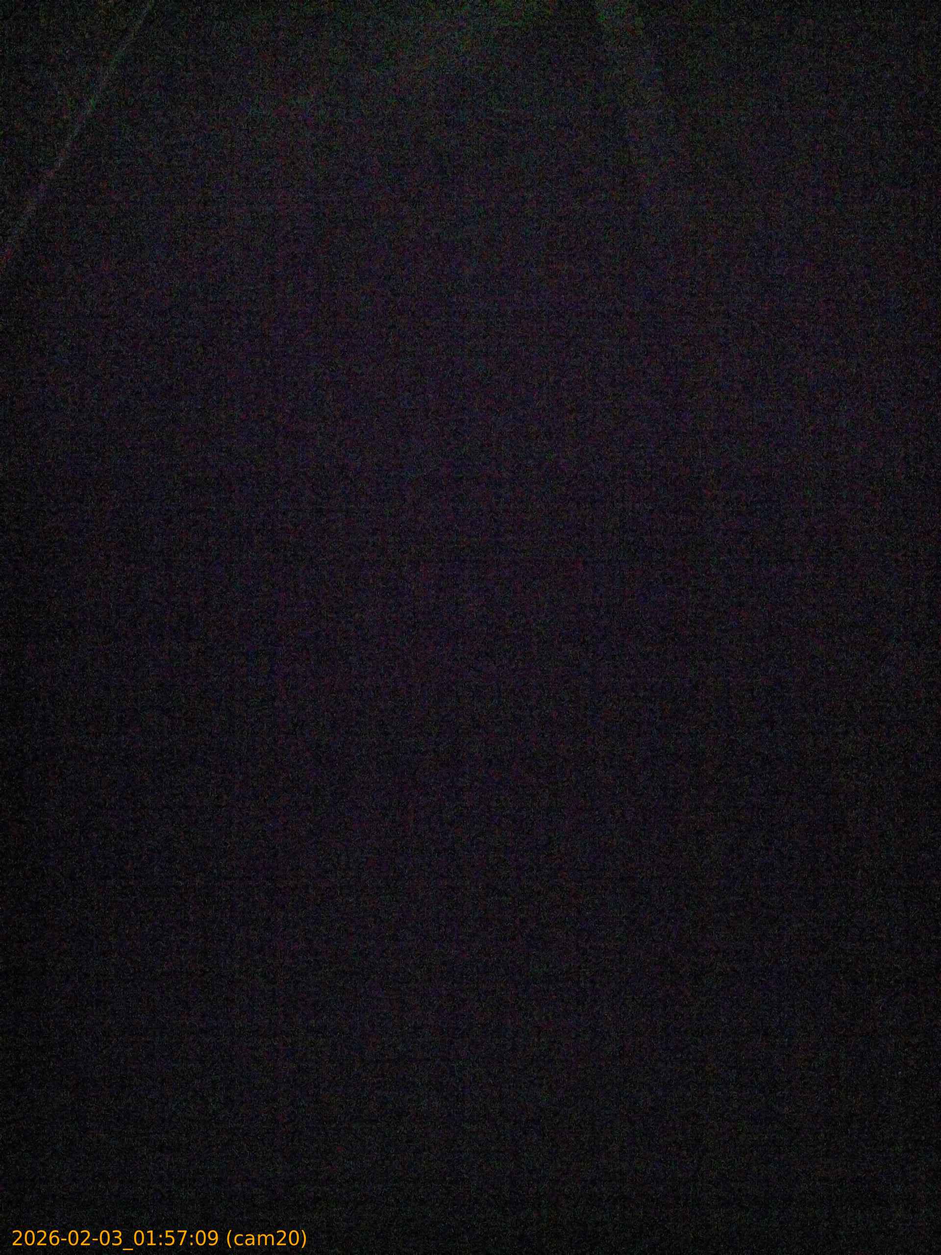 thumbnail_20260203015709