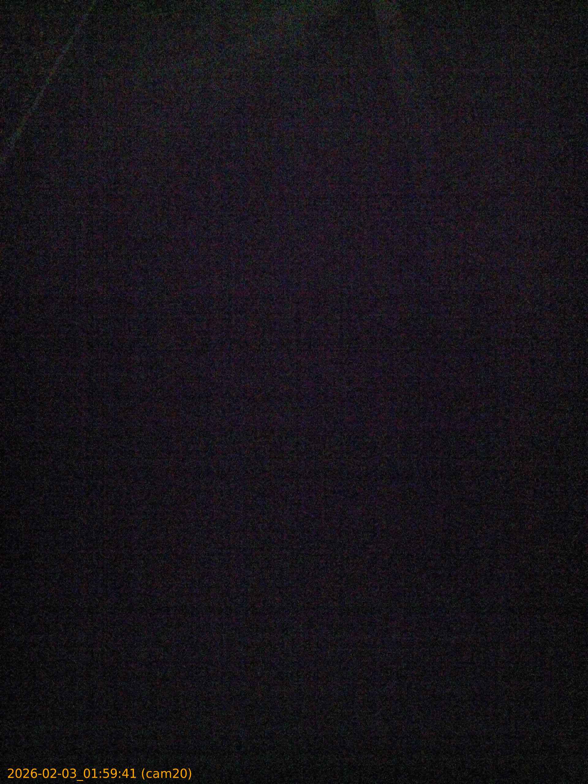 thumbnail_20260203015941