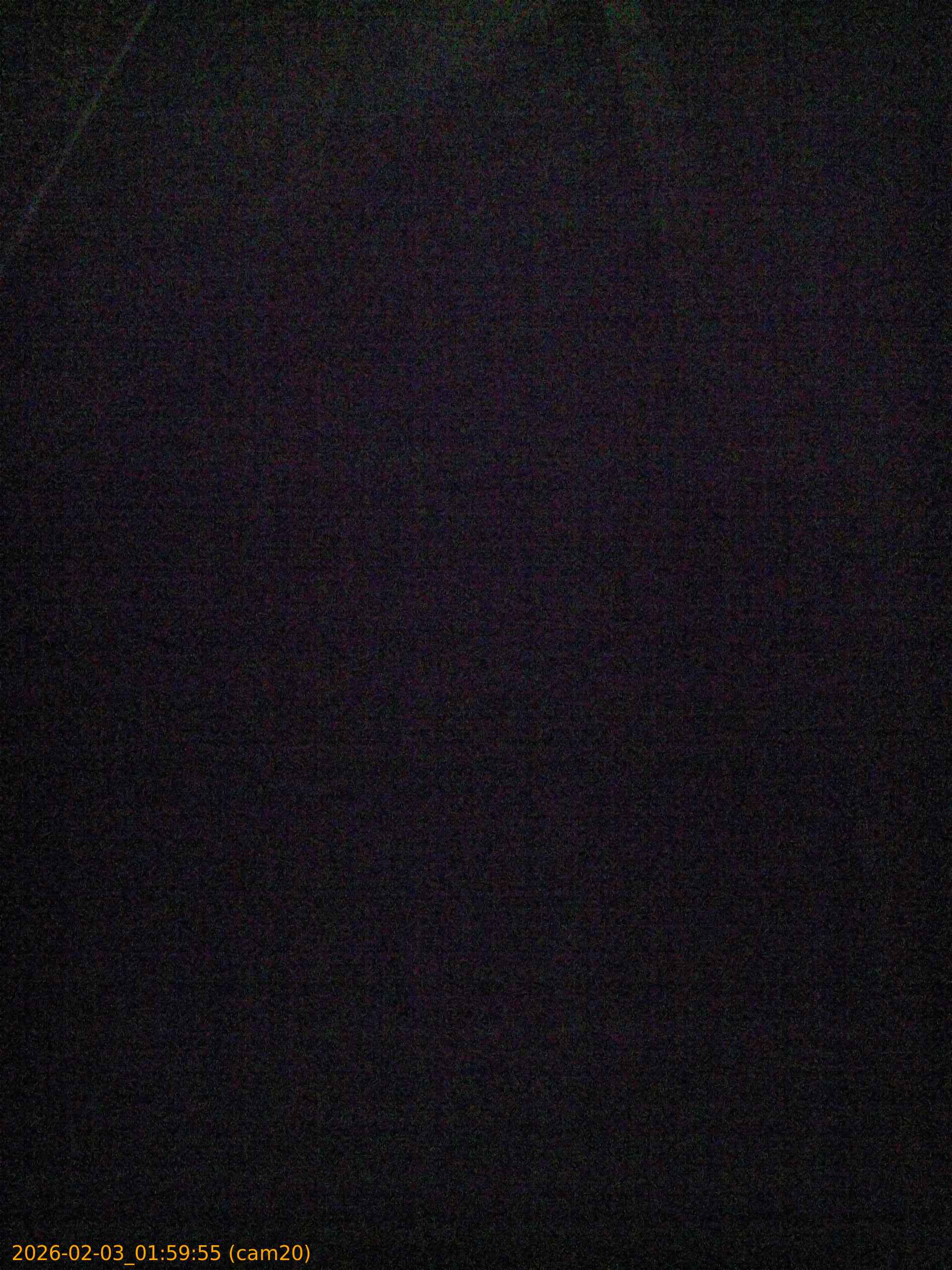 thumbnail_20260203015955