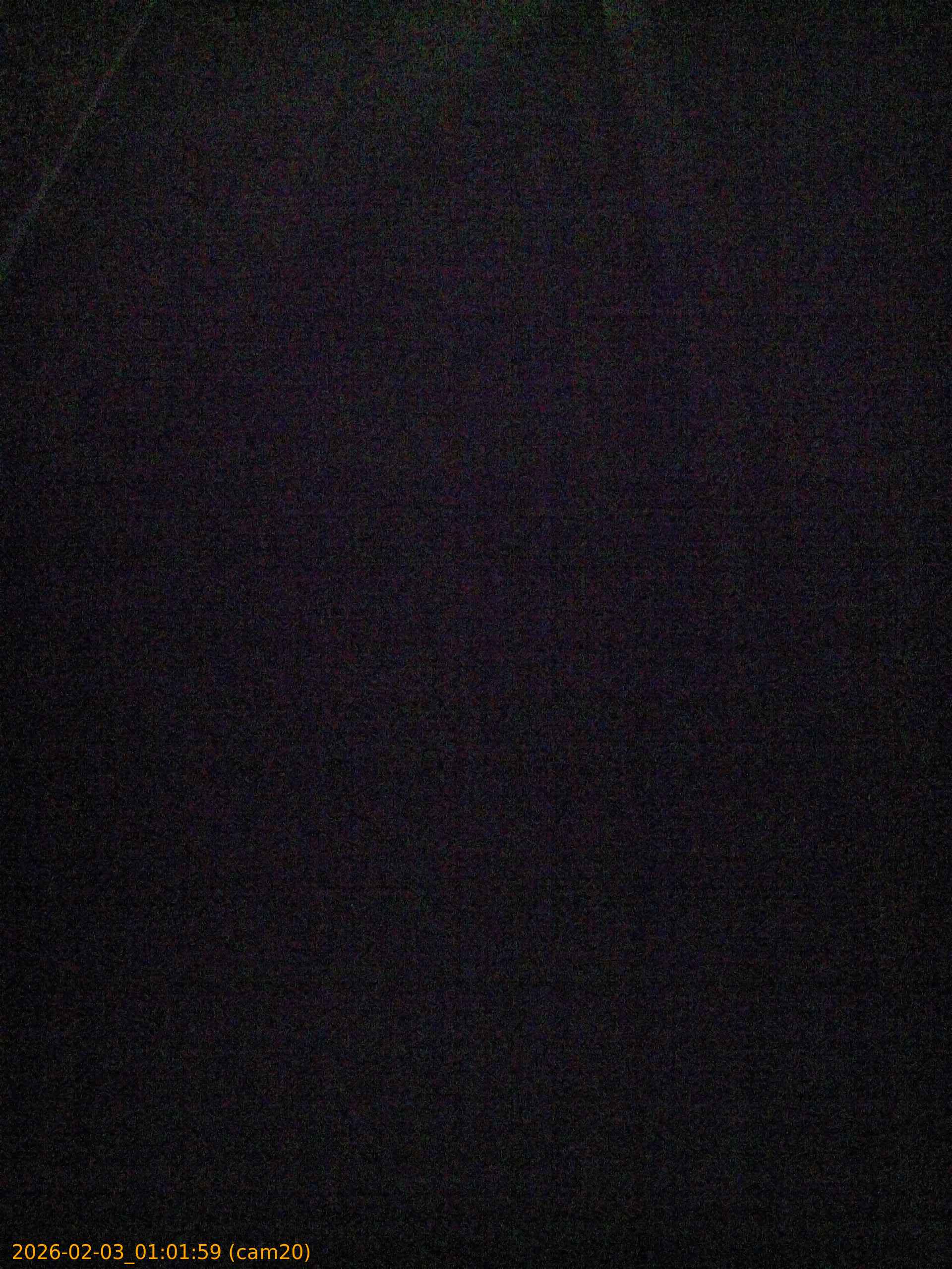 thumbnail_202602030101