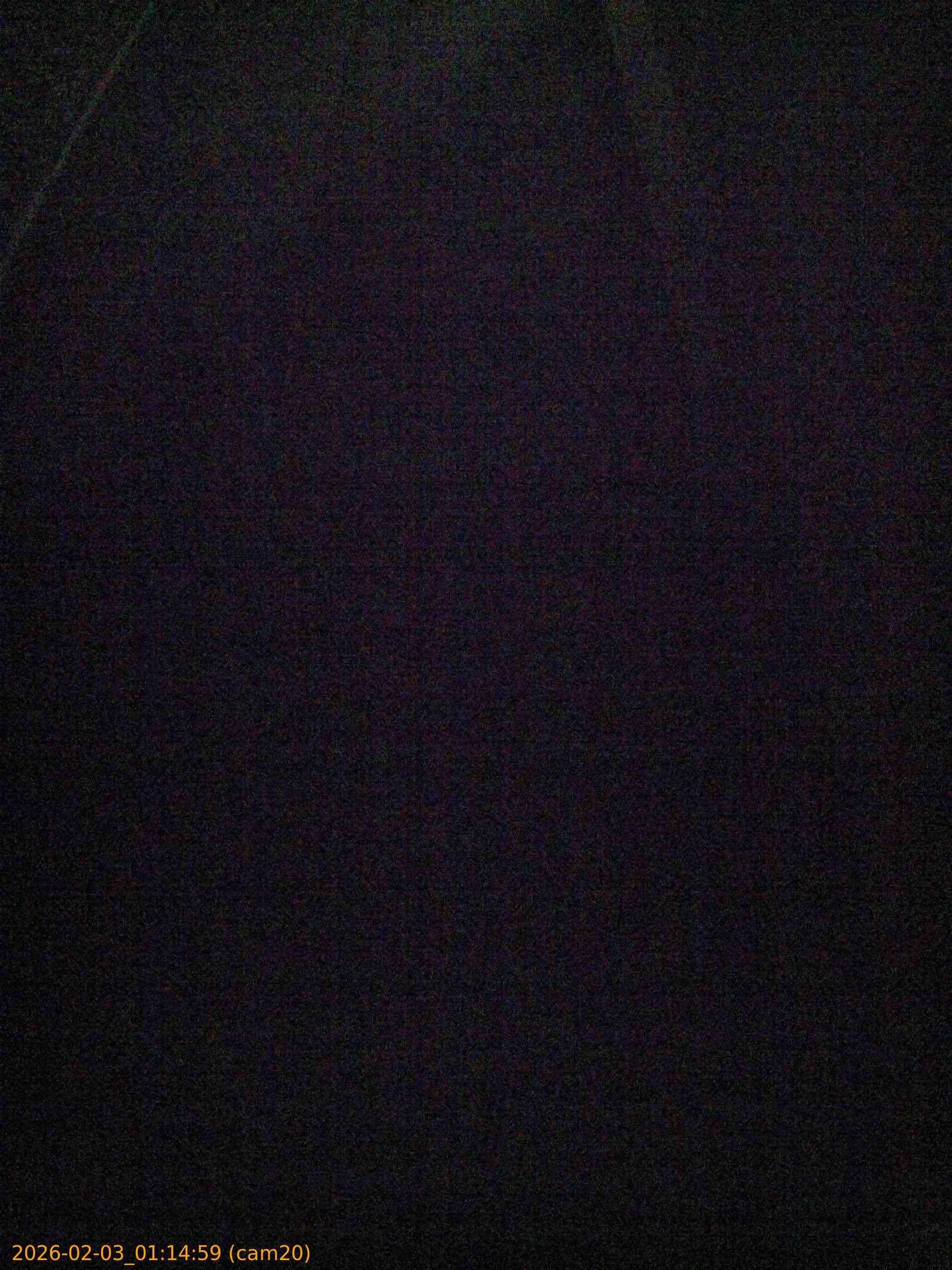 thumbnail_202602030114