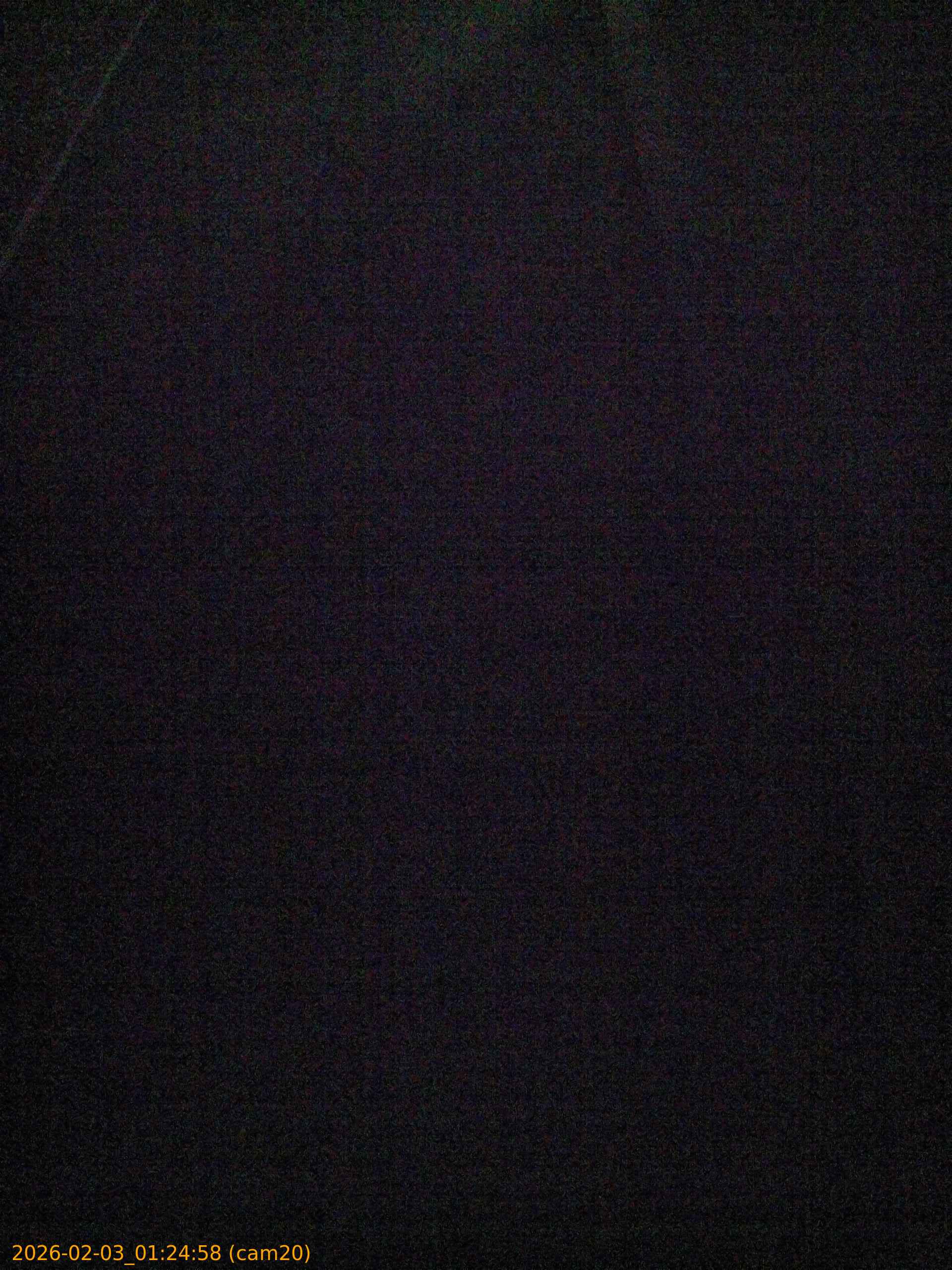 thumbnail_202602030124