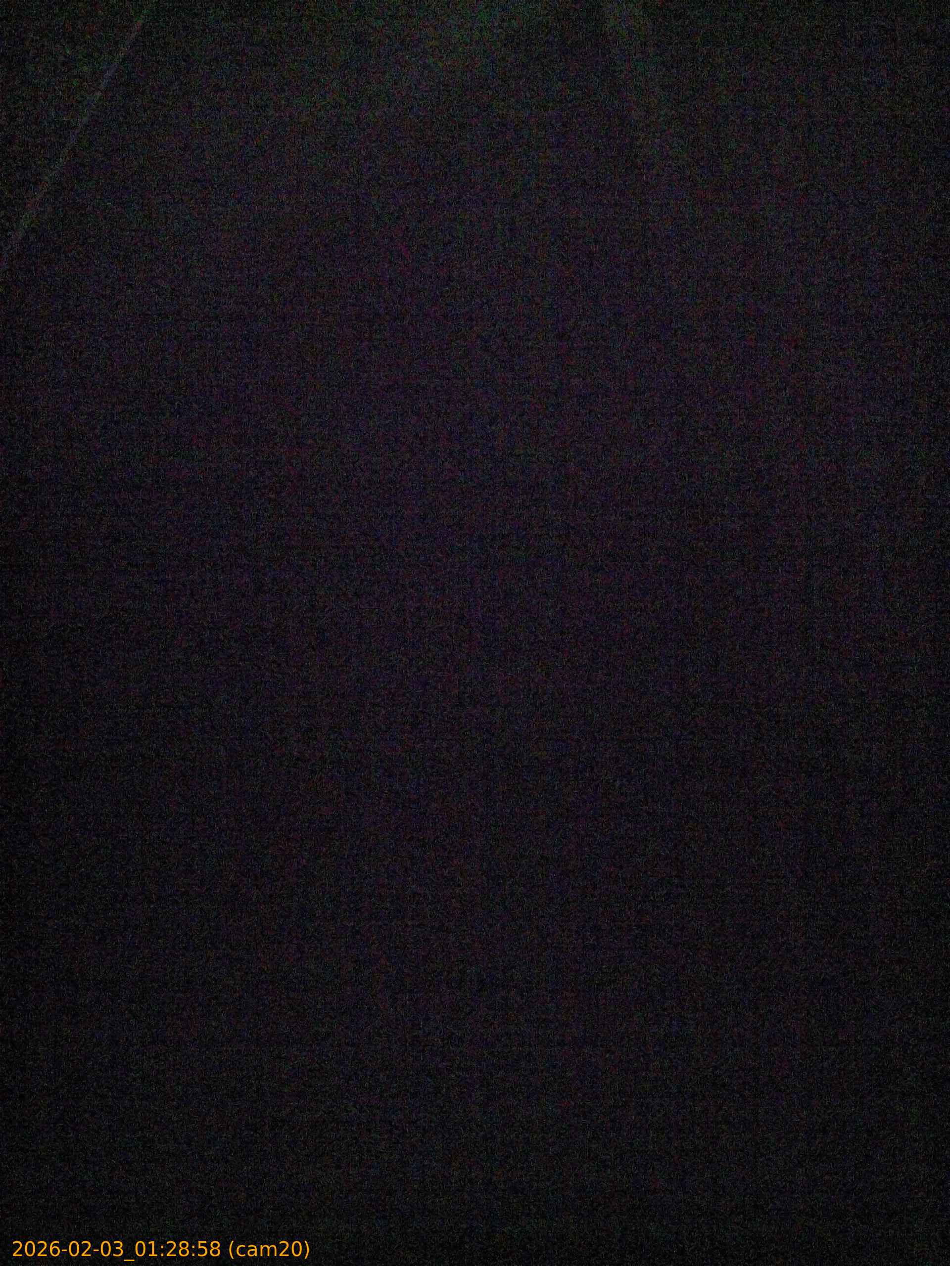 thumbnail_202602030128