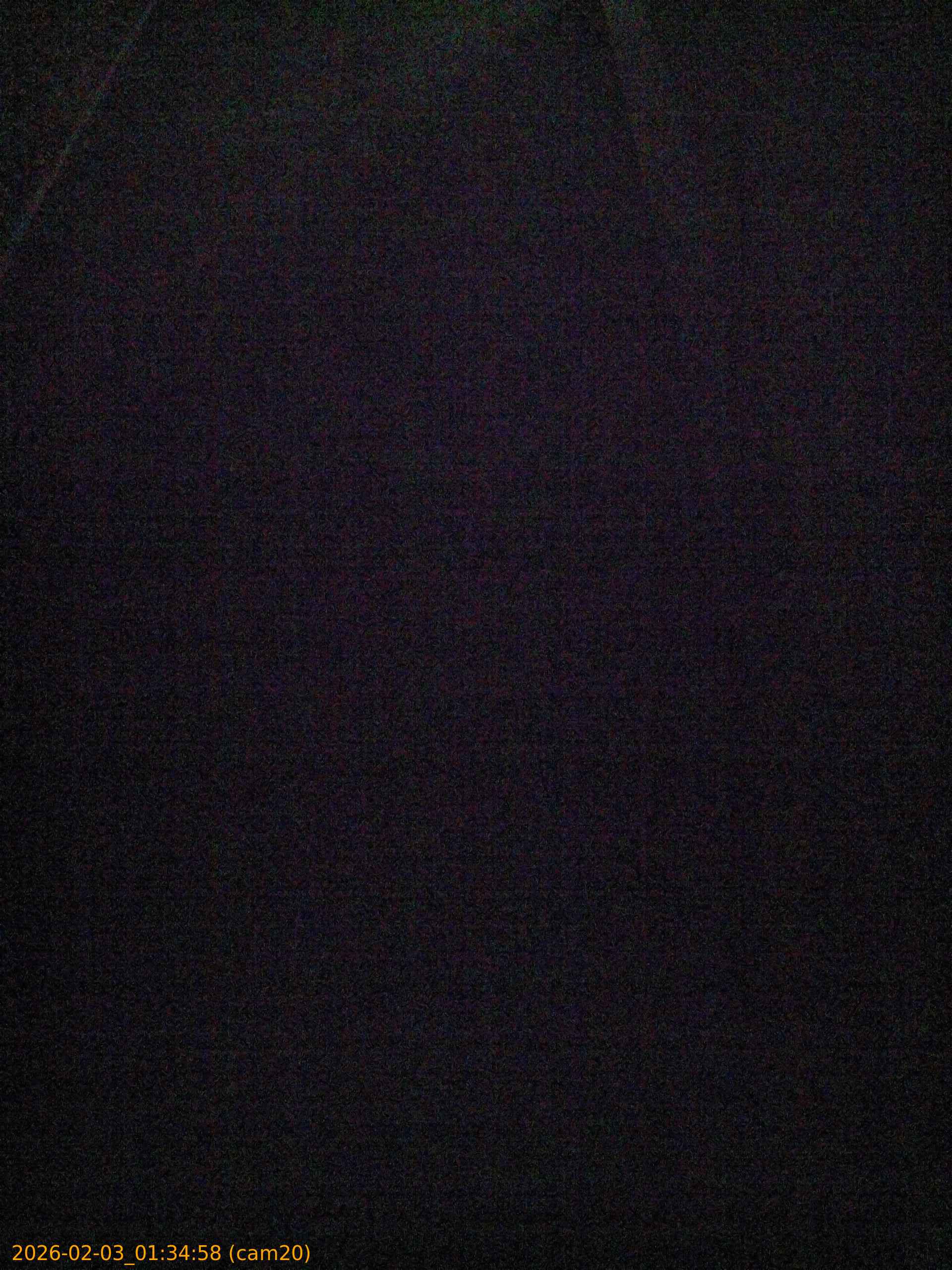 thumbnail_202602030134