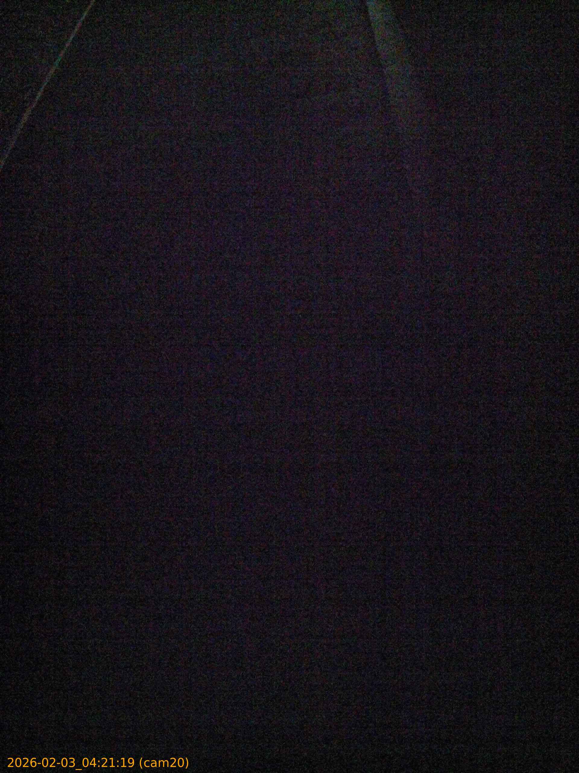 20260203042119